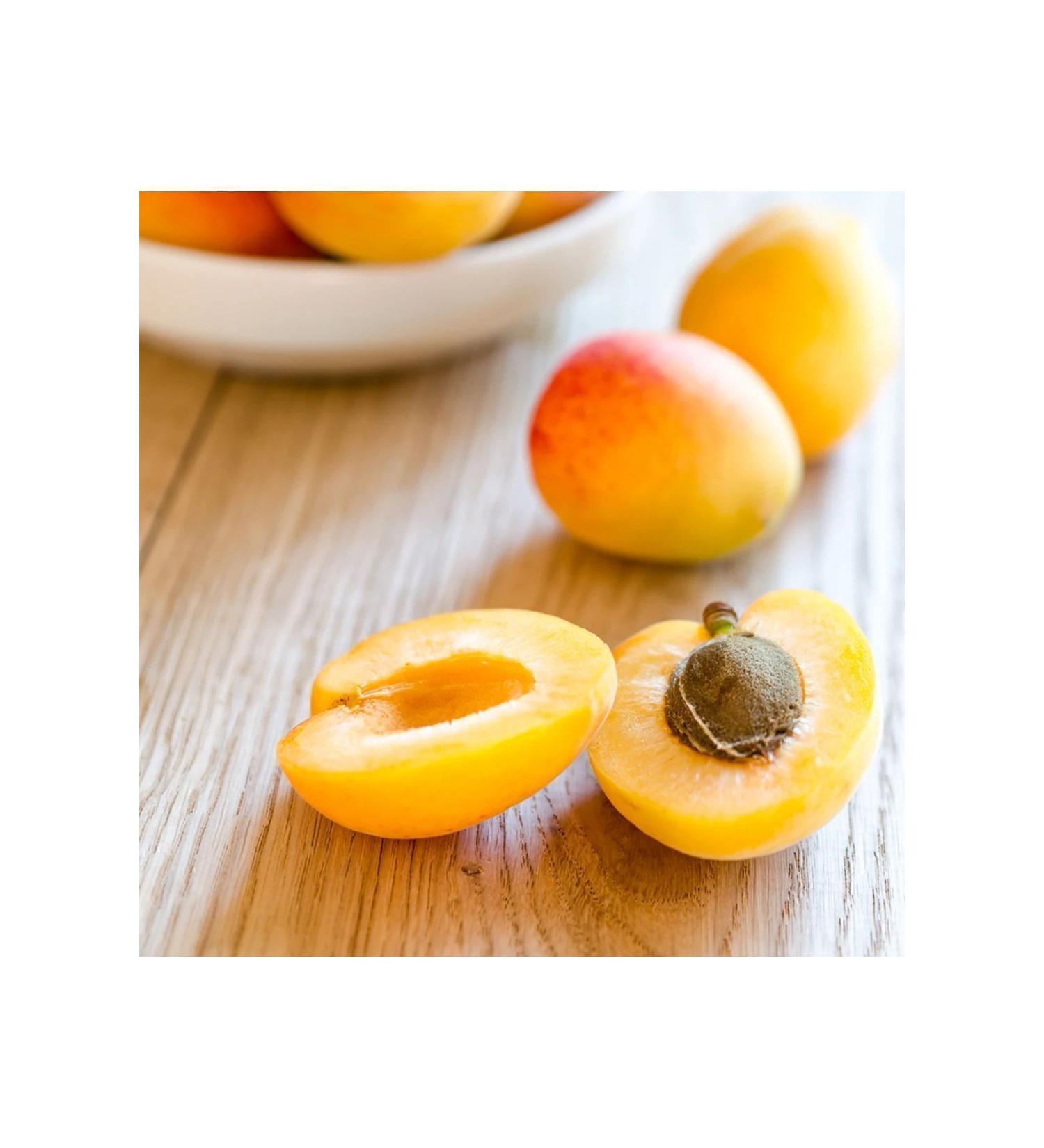 NEW RAW MATERIALS Apricot Kernel Oil 500 gr