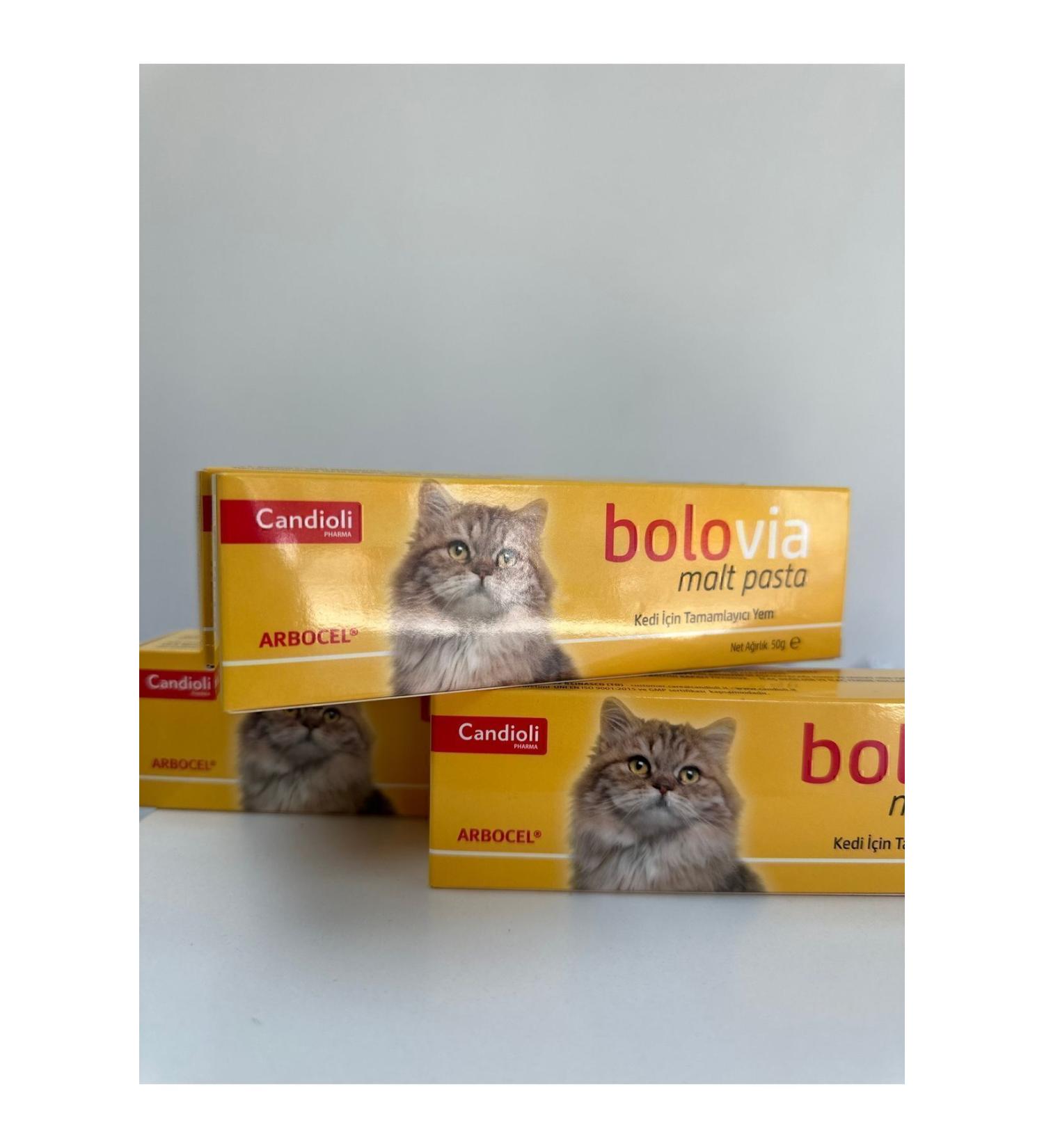 Other Bolovia Cat Malt