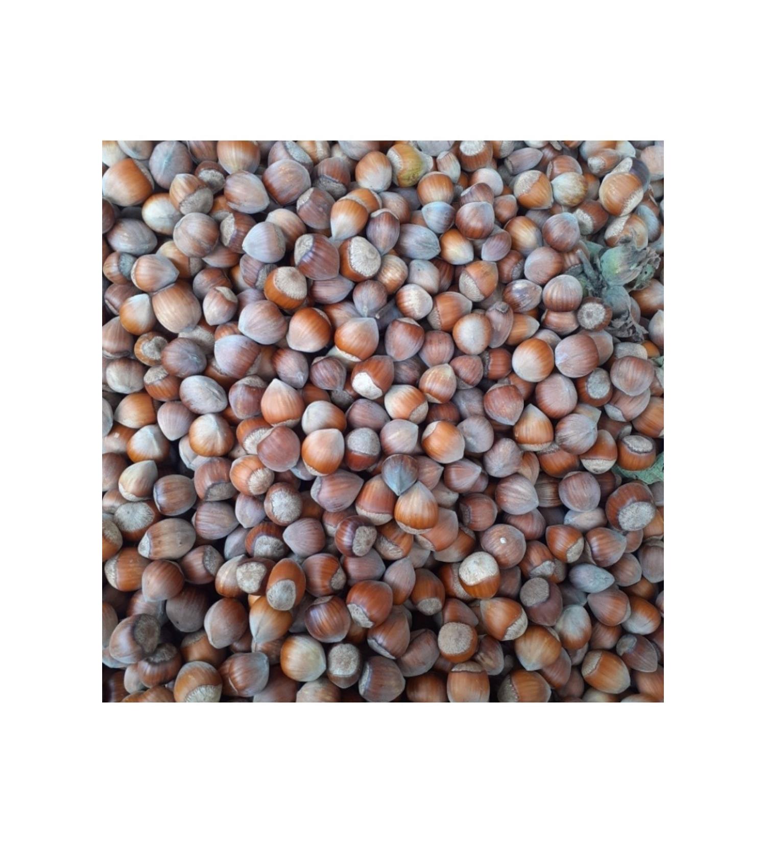 anl Hazelnuts in Shell - 5 Kg