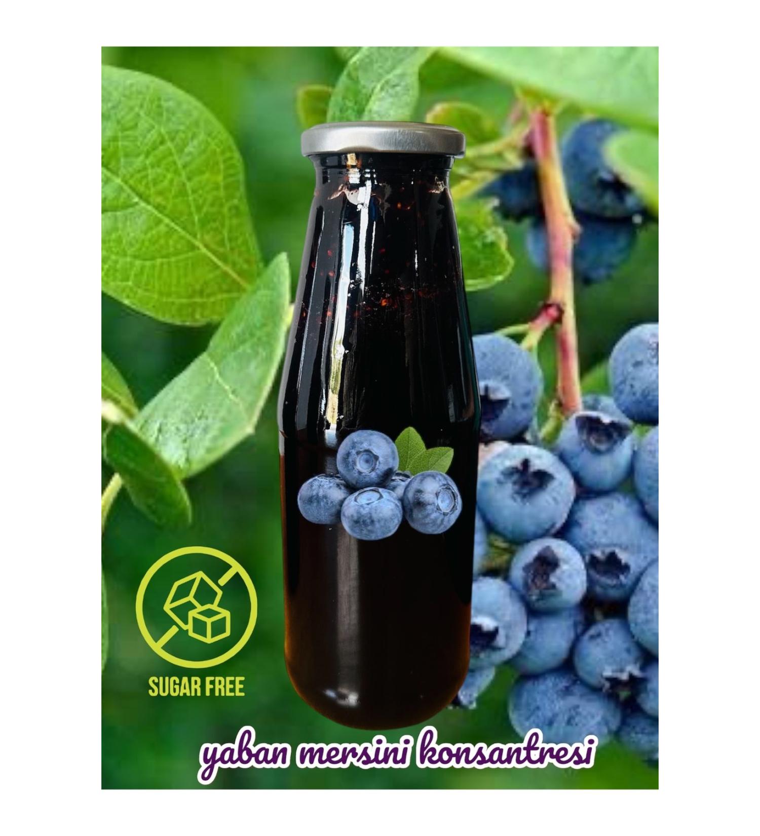 Sugar-free blueberry concentrate from Sebo 975 gr