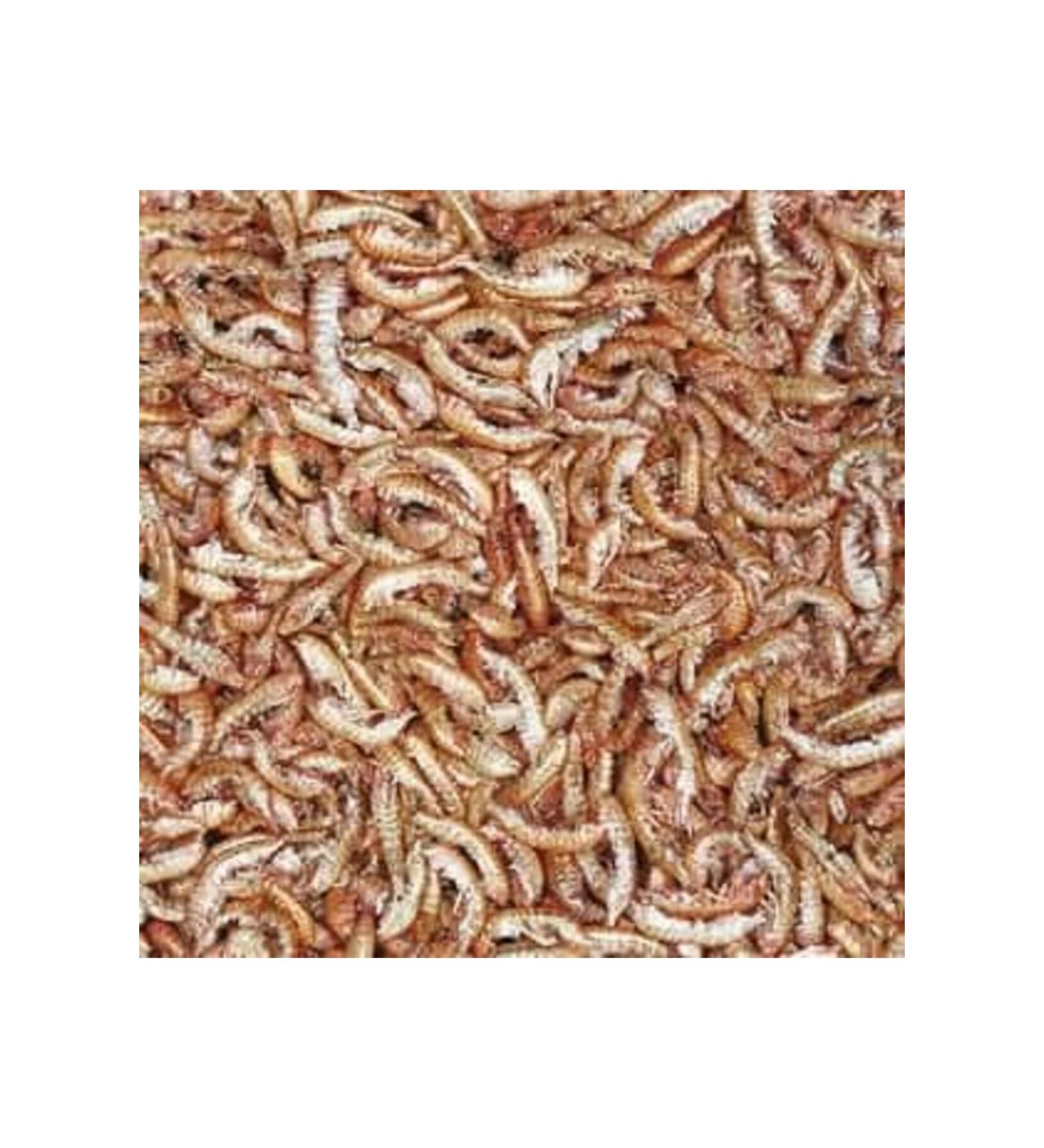 Tropical TROPICAL GAMMARUS - SHRIMP 50 GR