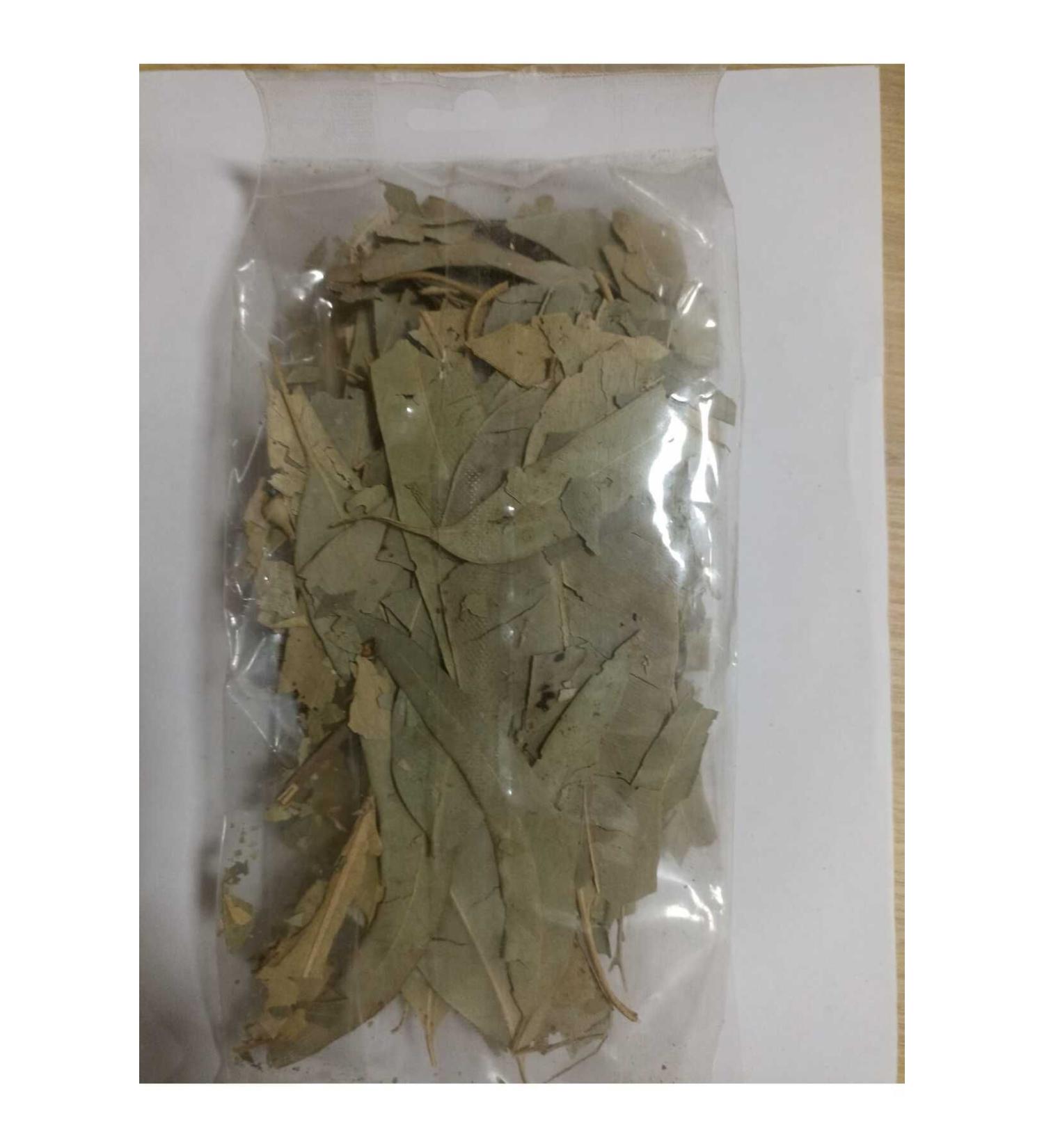 Diet Mall Eucalyptus Leaf