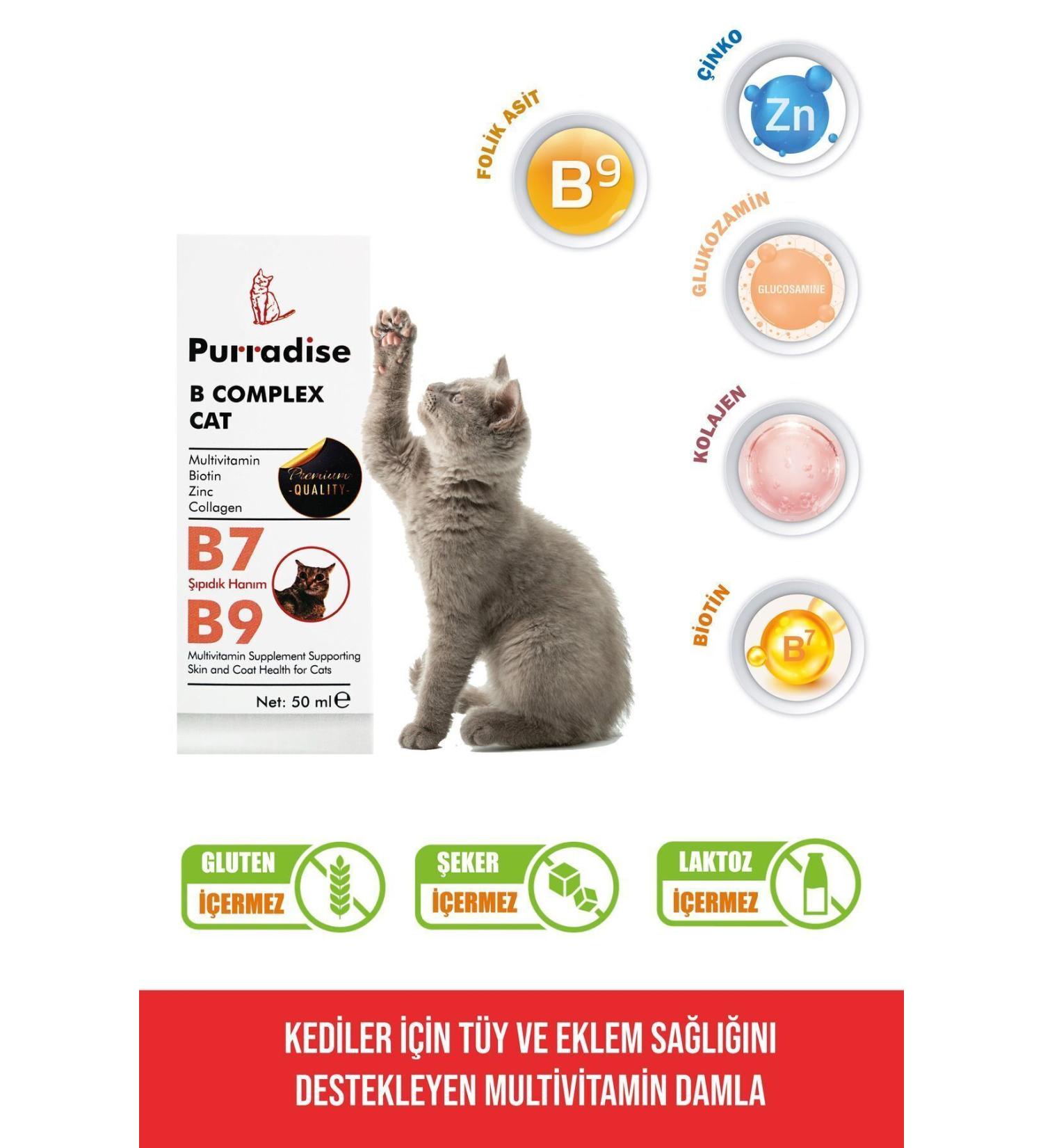 Purradise - B Complex Cat Hair Health Drops - Buy Online on GoSupps.com