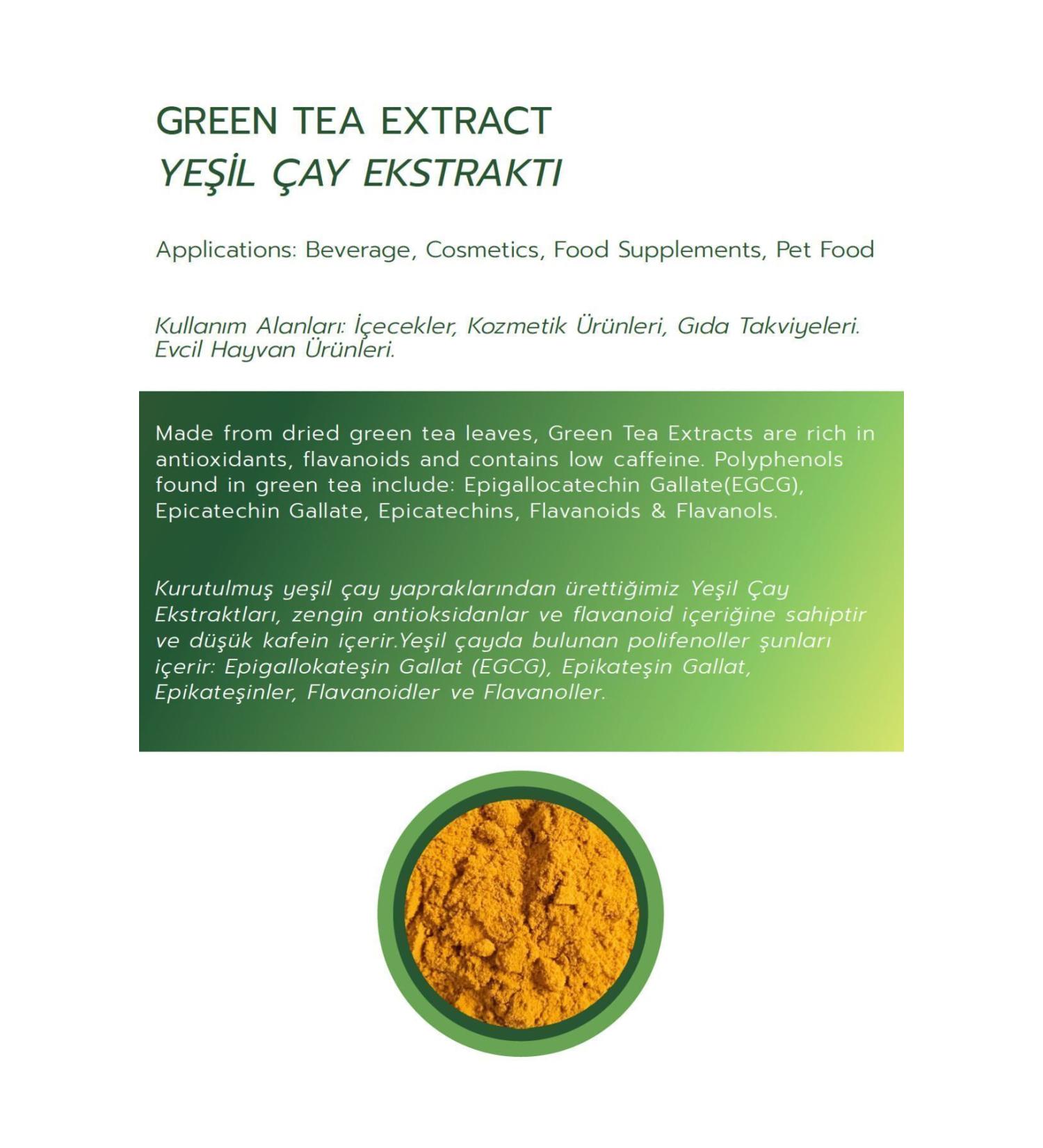 ayeks Green Tea Extract 100gr