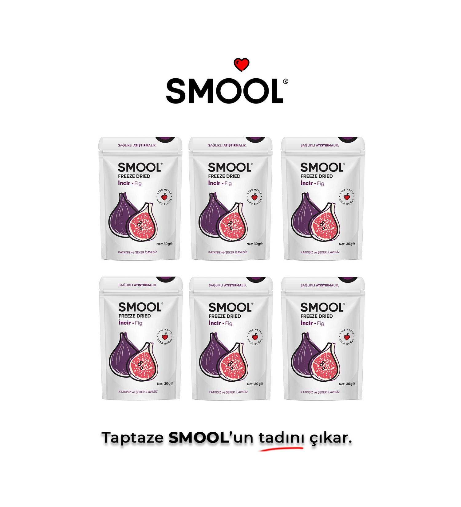 SMOOL Freeze Dried Black Fig 6 Pack (30GRX6) Freeze Dried Black Fig - Freeze Dry Fig