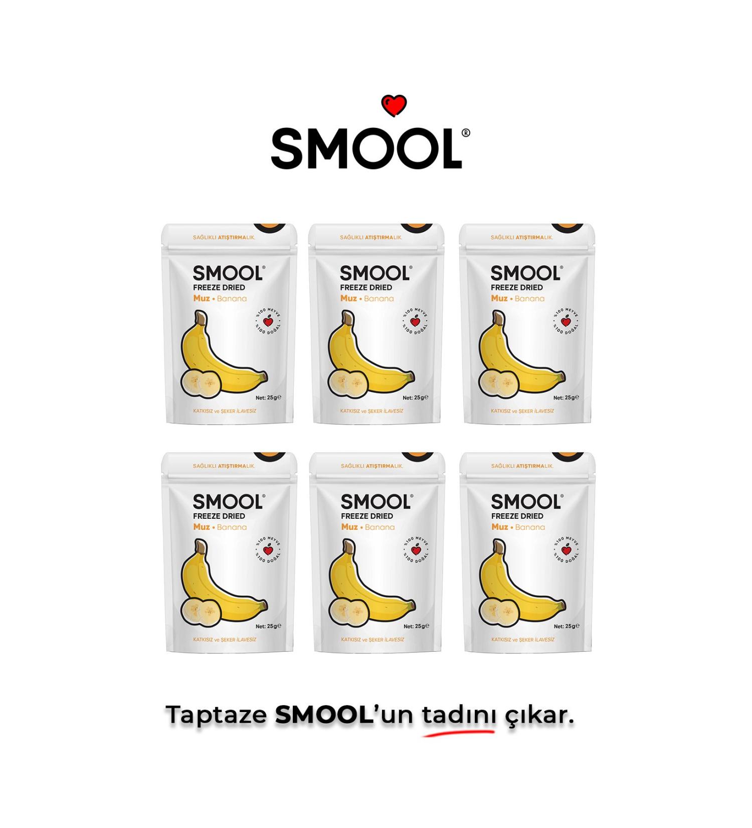 SMOOL Freeze Dried Banana 6 Pack (25 GRX6) Freeze Dried Bananas