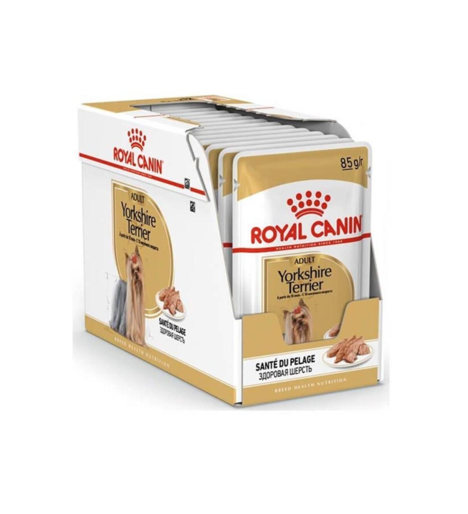 Royal Canin Adult Yorkshire Terrier Dog Food 85 Gr X 12