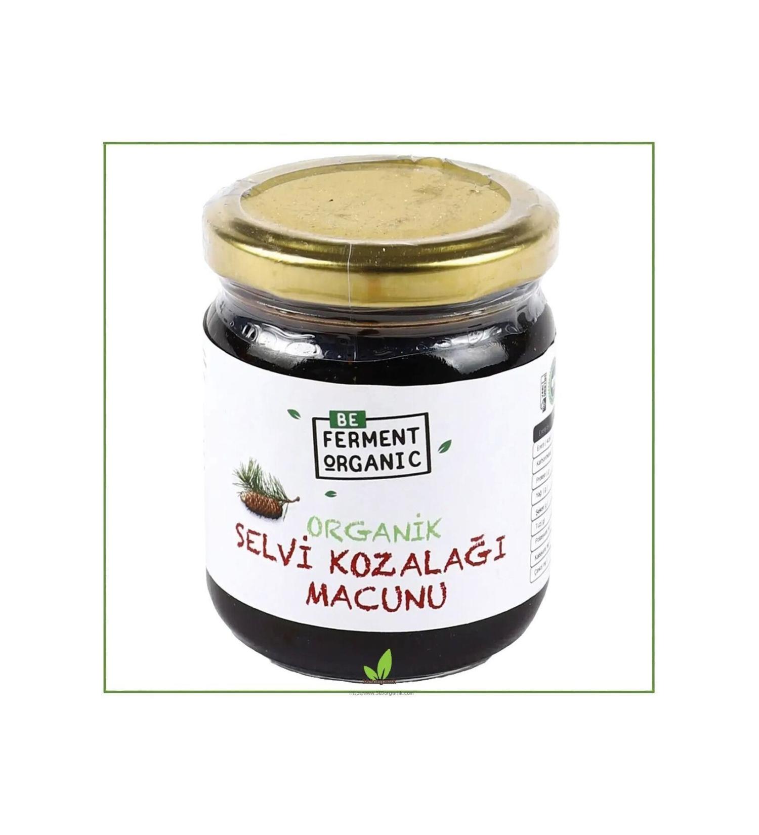 Beferment Organic Cone Paste 240 gr