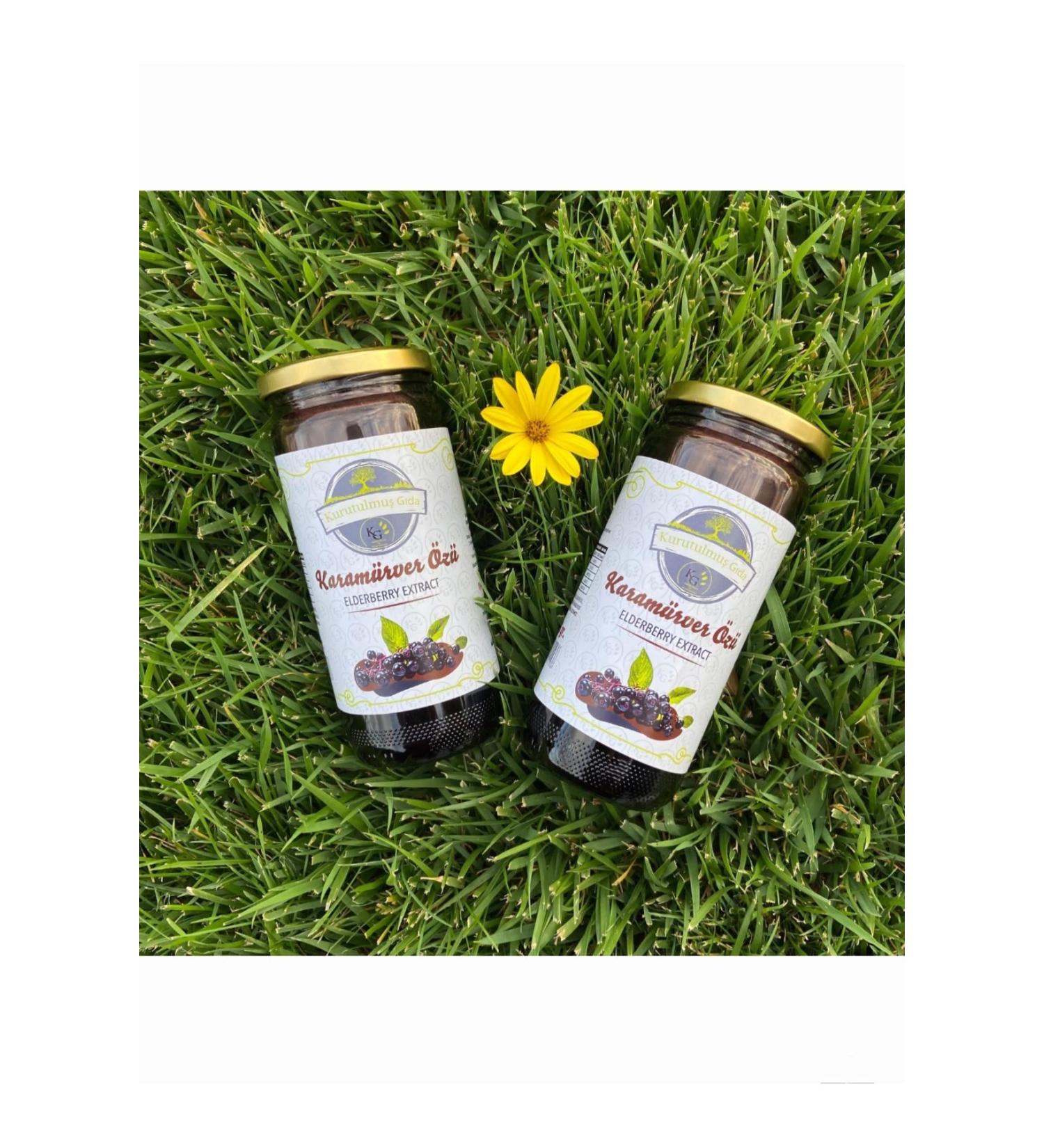 Kg Dried Food Elderberry Extract (650 Gr X2)