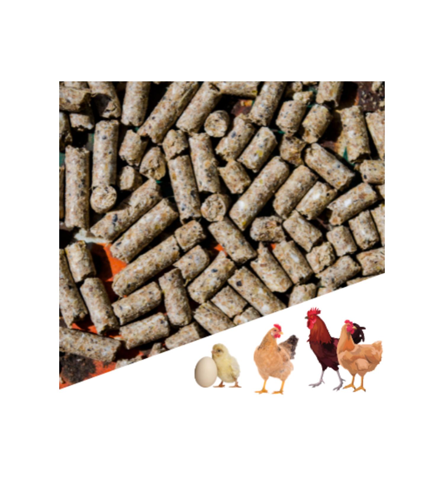 Nar m 2 Kg Pellet Protein Special Chicken Goose Duck and Poultry Fattening Egg Feed 2 Kg - Buy Online on GoSupps.com