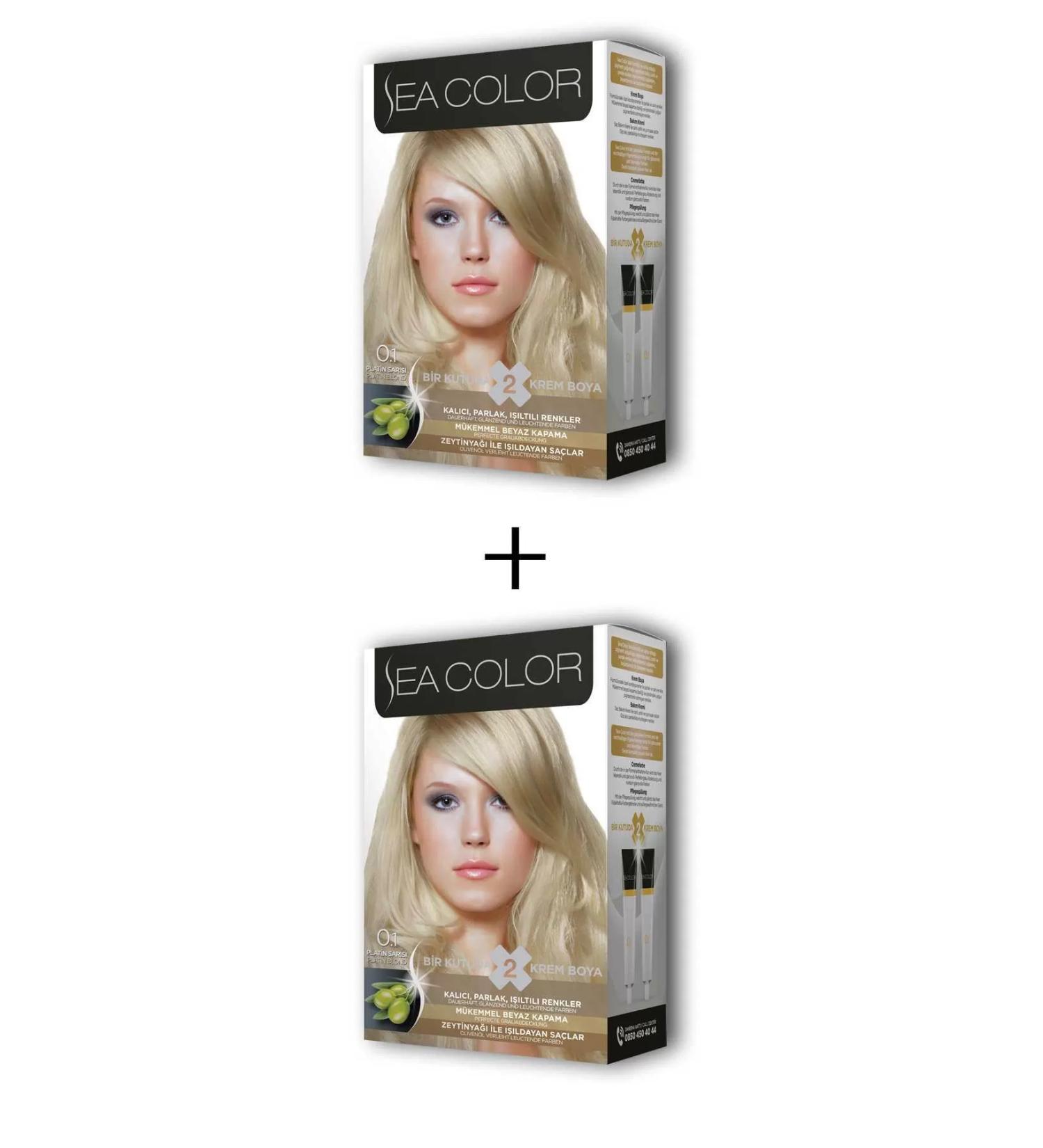 Skygo 2X2 Tube Cream Hair Dye Set Platinum Blonde No:0.1