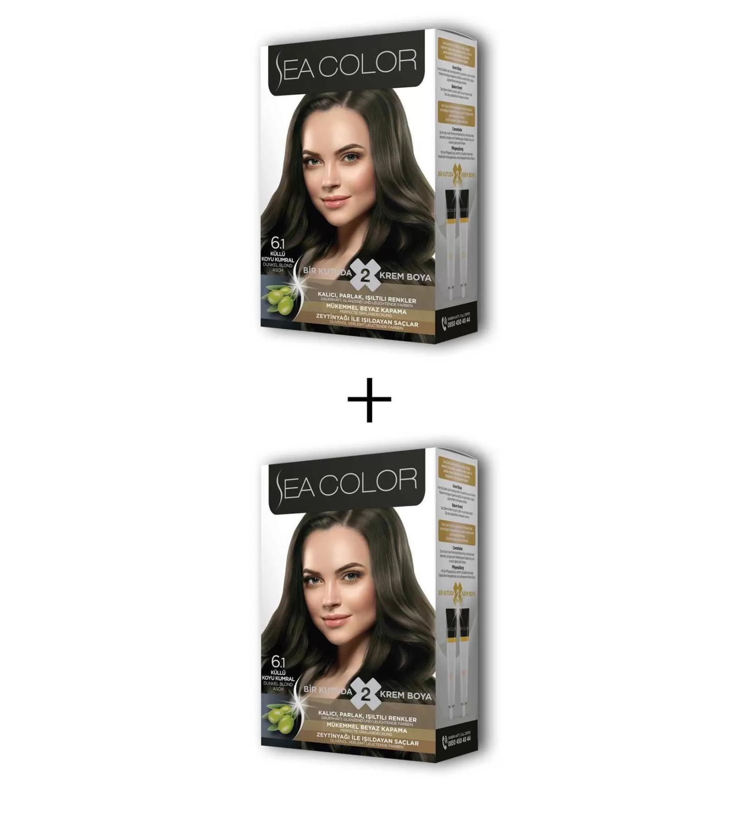Skygo 2x2 Tube Cream Hair Dye Set Ash Dark Blonde No:6.1