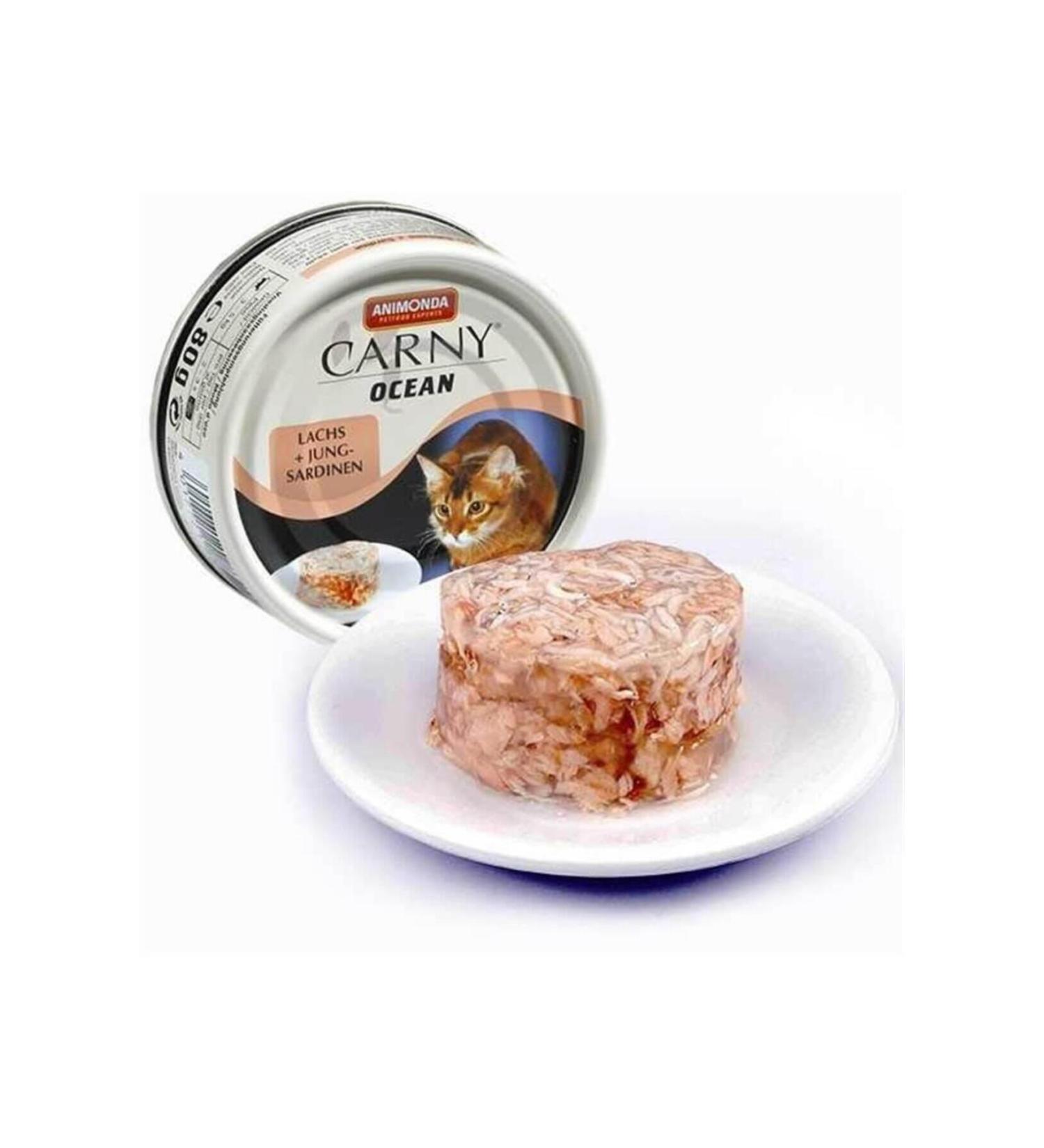 Carny Ocean Salmon Sardine Cat Canned Food 80 gr