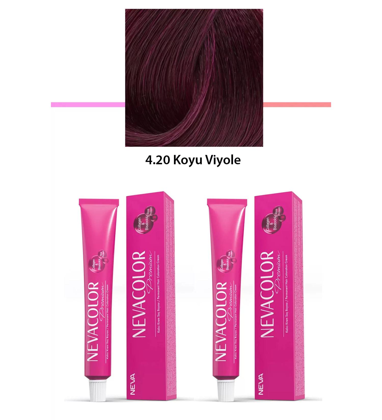 Skygo 2 Set Premium 4.20 Dark Violet - Permanent Cream Hair Dye 2 X 50 g Tube