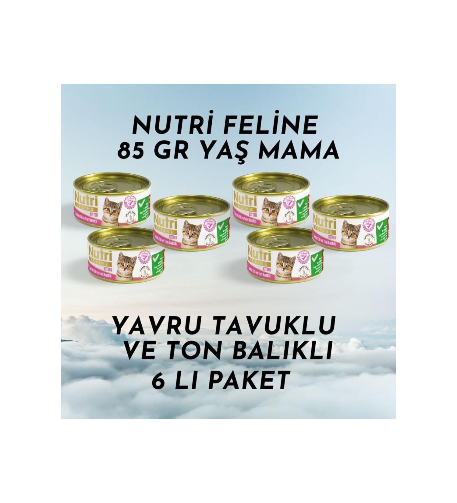 Nutri Feline Canned 85 gr Kitten Chicken Meat Tuna 6 Pack Wet Food