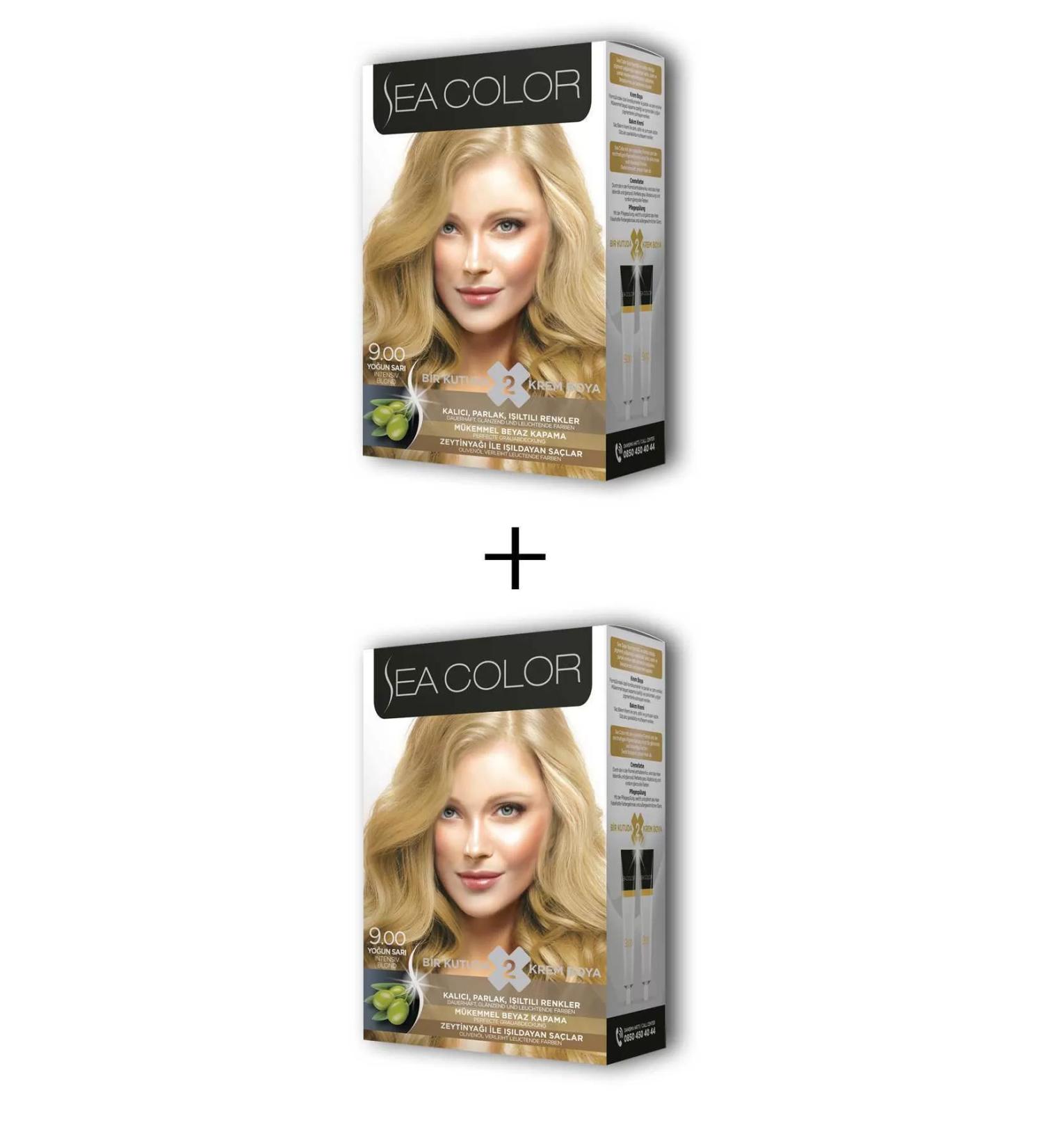 Skygo 2X2 Tube Cream Hair Dye Set Intense Blonde No:9.00