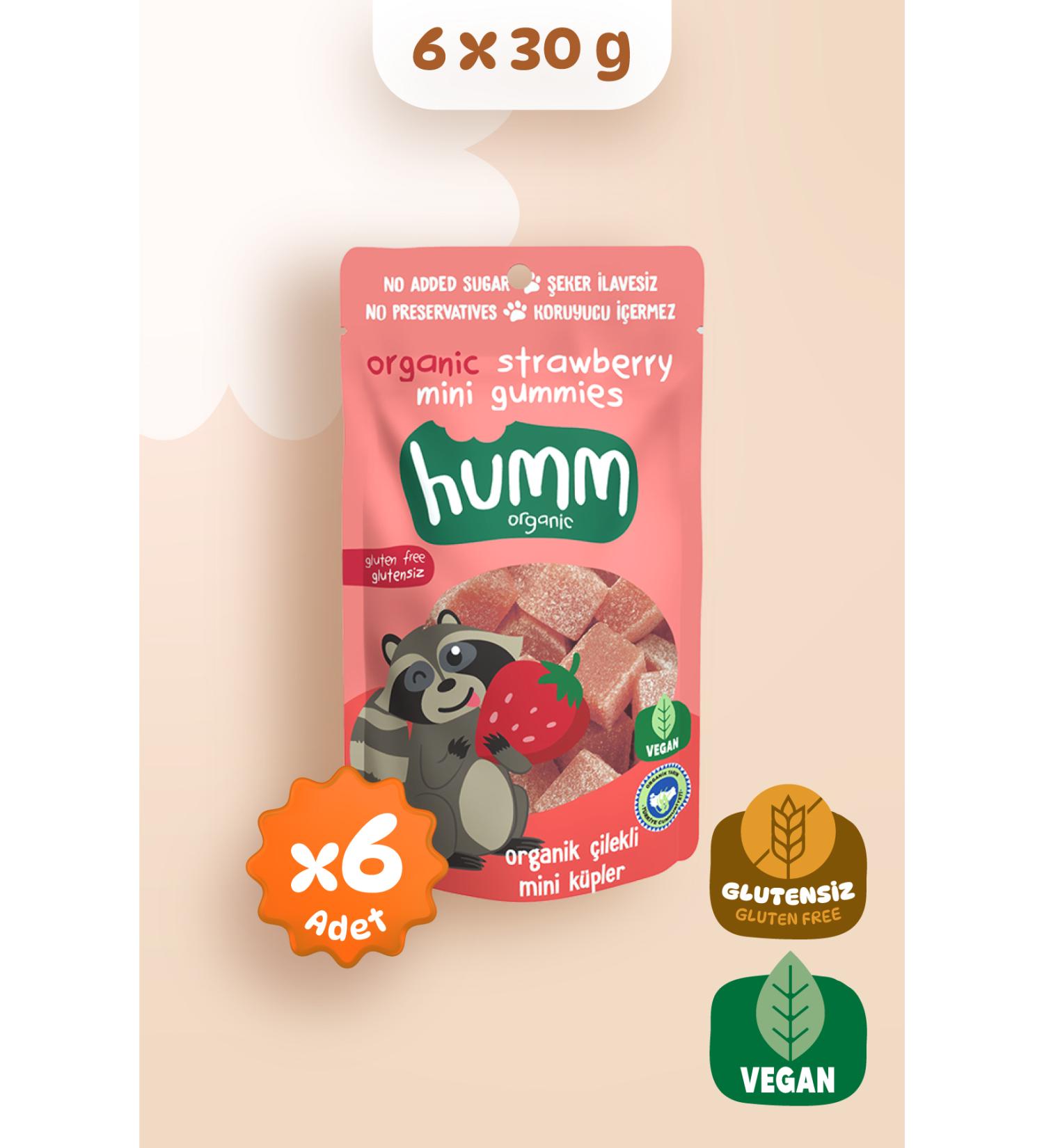 Humm Organic Organic Gluten Free Vegan Strawberry Mini Cubes Snack Pack - 6 Pieces - Buy Online on GoSupps.com