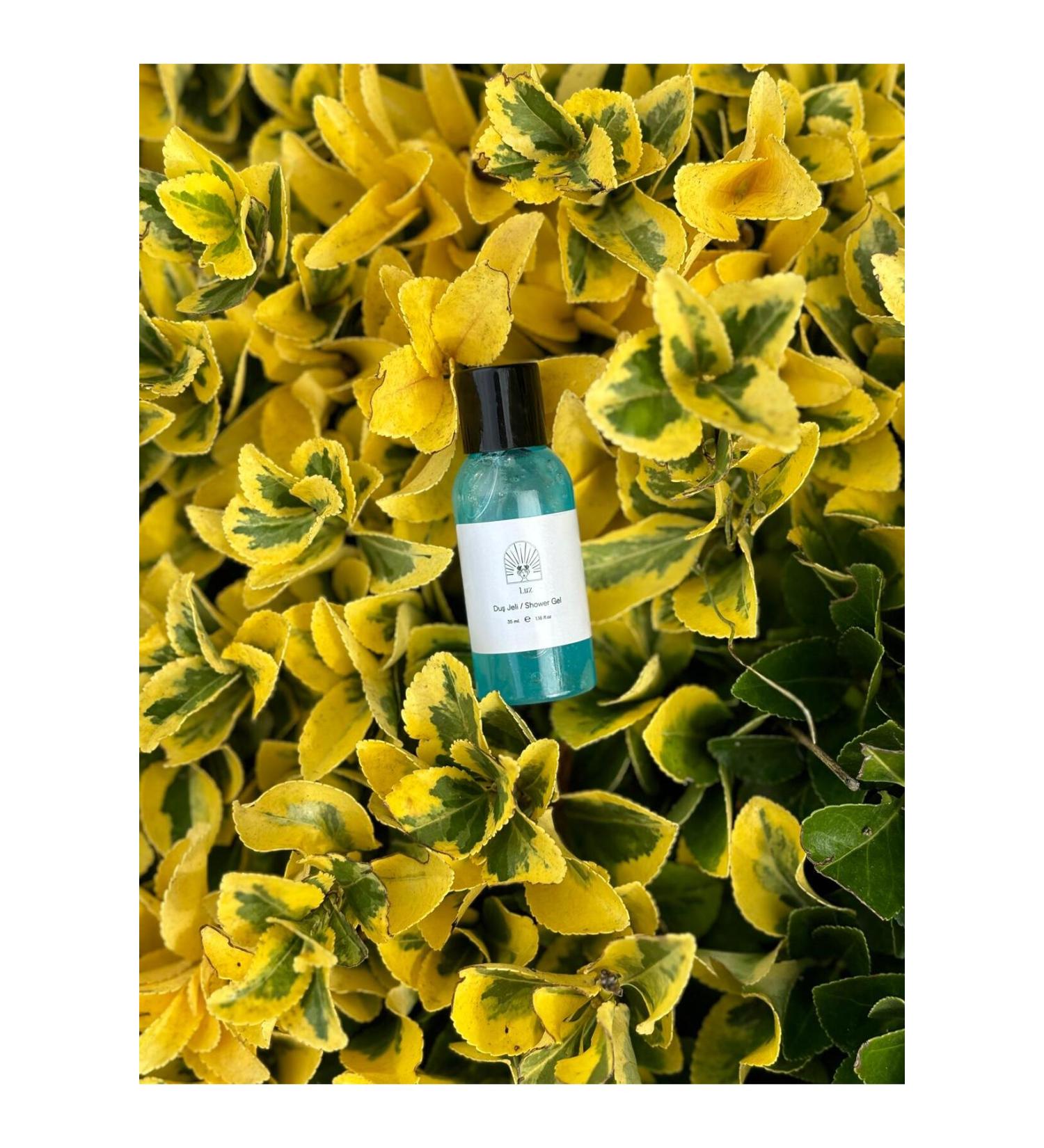 LUZ Hotel Type Shower Gel 1 piece 35 ml Disposable Mini Bath Shower Gel Body Cleansing Product - Buy Online on GoSupps.com