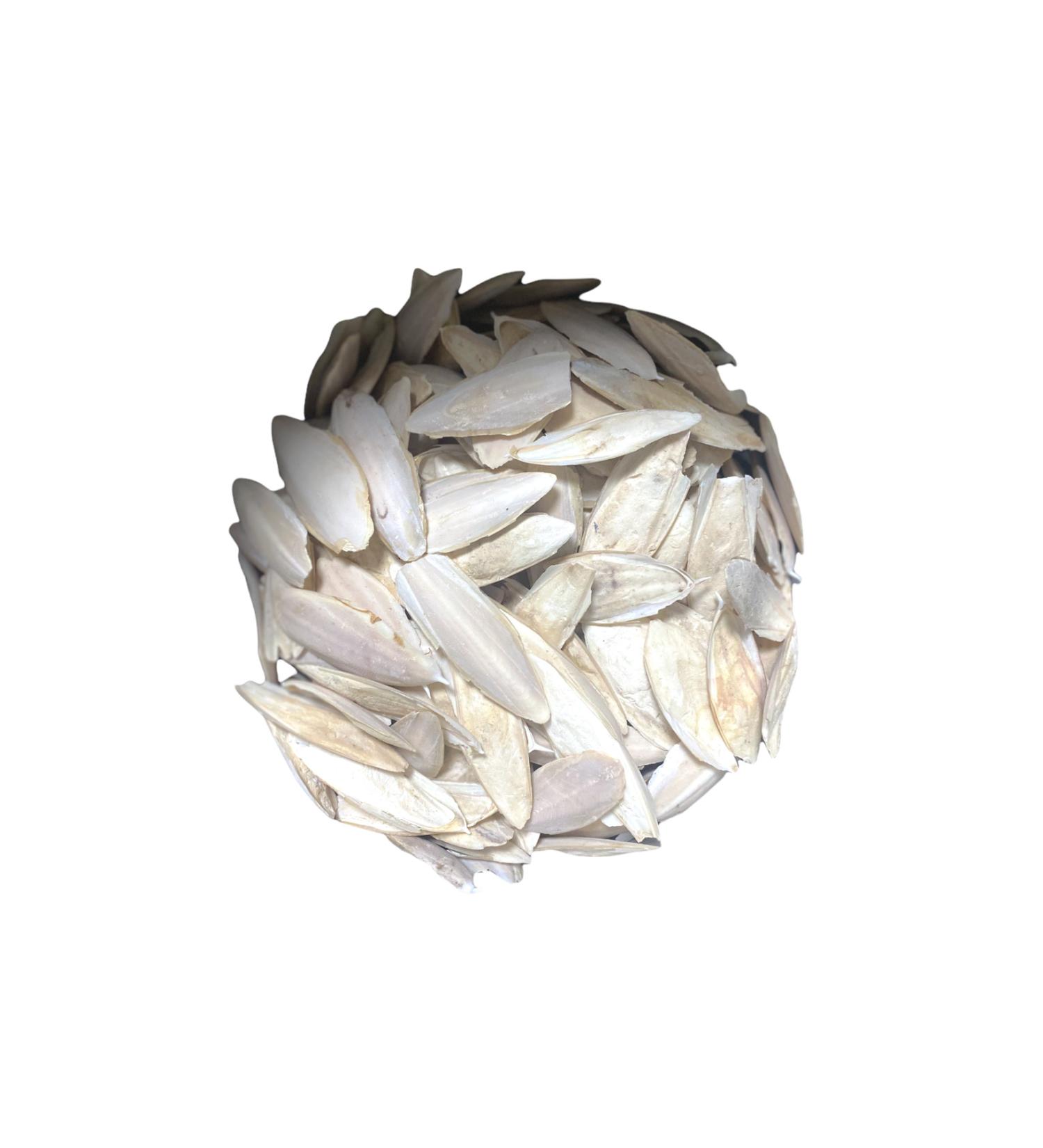 mn mammamia mix 250 G Piece Squid Bone 250 gr