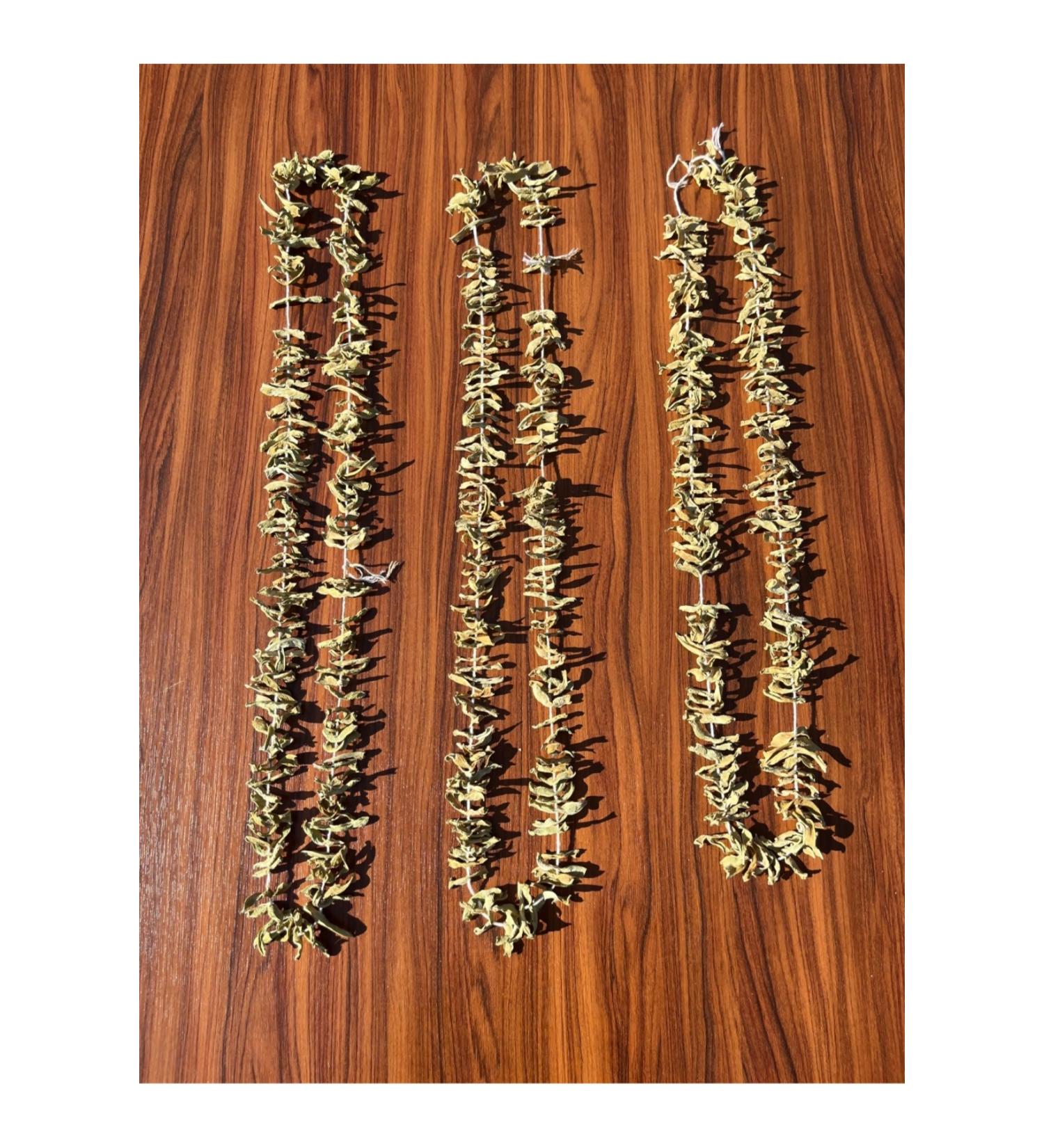 Kg Dried Food Bean Dried 3 Series - Buy Online on GoSupps.com