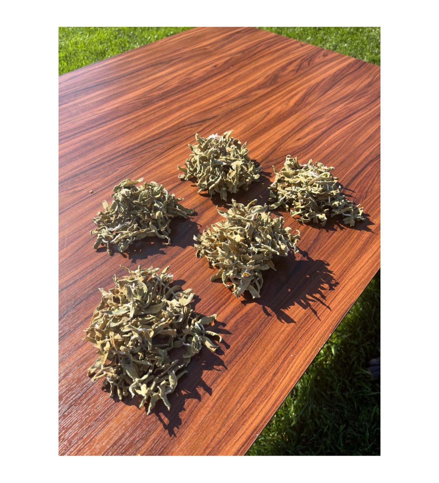 Kg Dried Food Bean Dried 5 Series - Buy Online on GoSupps.com