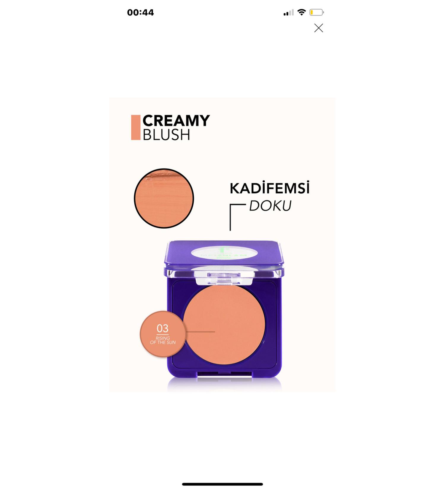 Flormar Metaglam 03 Rising Of The Sun Blush - Buy Online on GoSupps.com