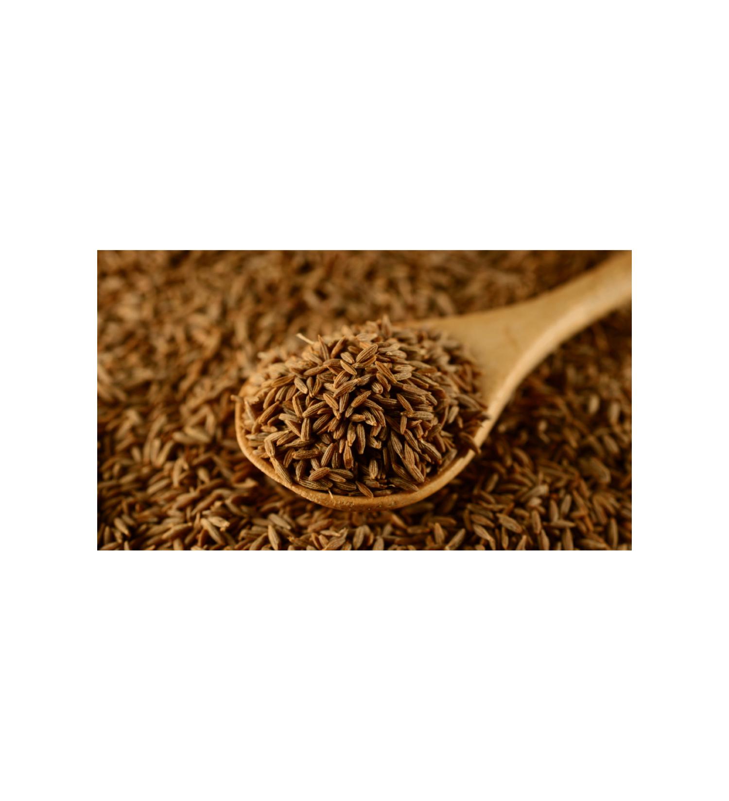 Plantland Cumin Seed 250gr