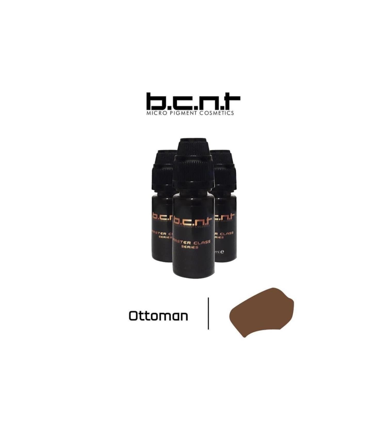 bcnt Permanent Makeup Dye Eyebrow Series 10 Ml. Ottoman