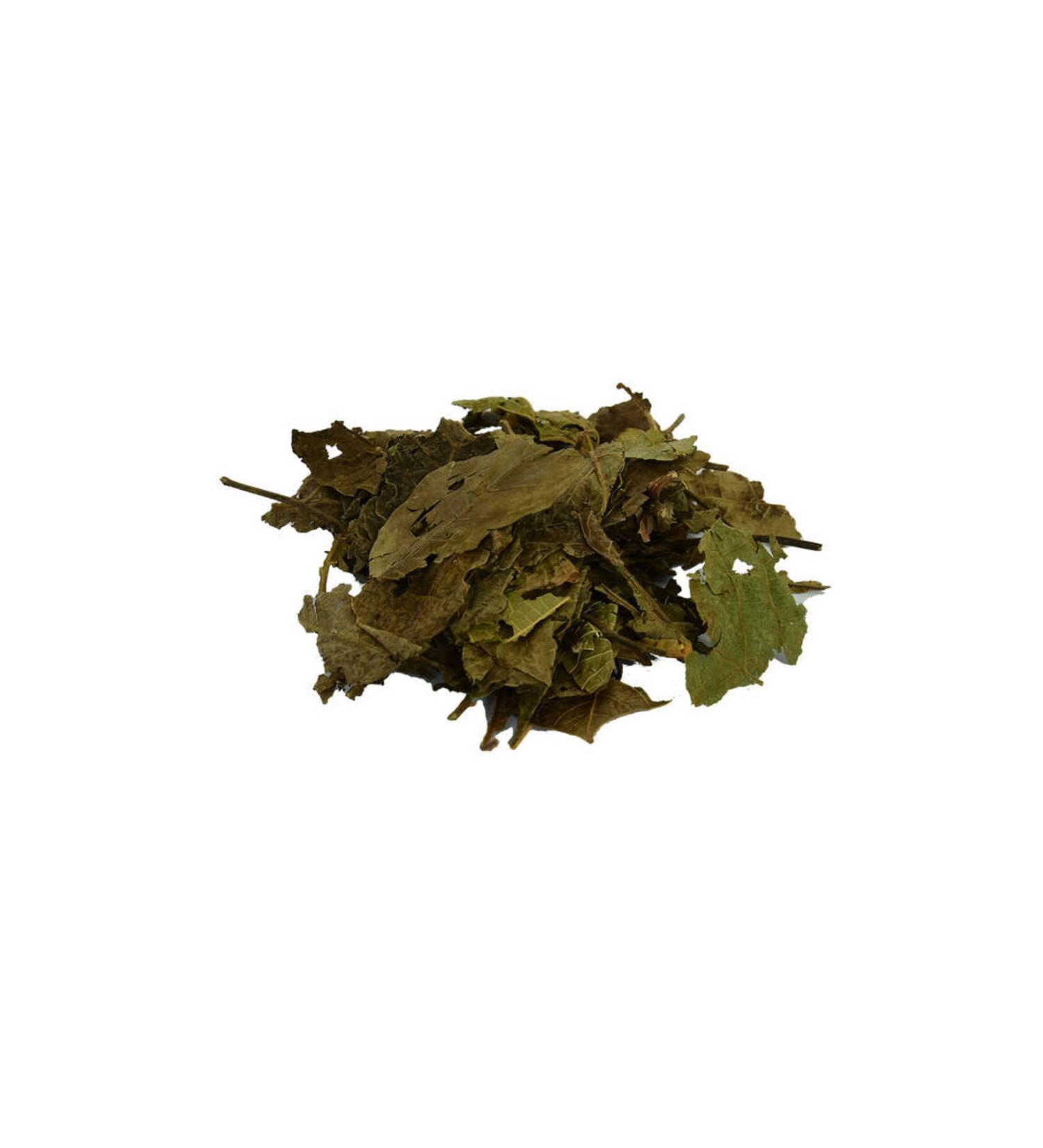 Mulvix Mulllkm Lkm01 Walnut Leaf Natural 100 Gr Package (Muul)