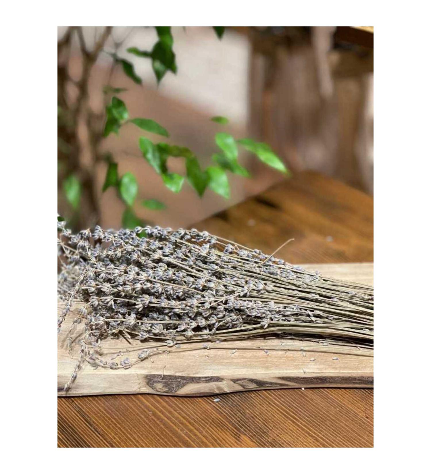 Masale 1 Bunch of Lavender