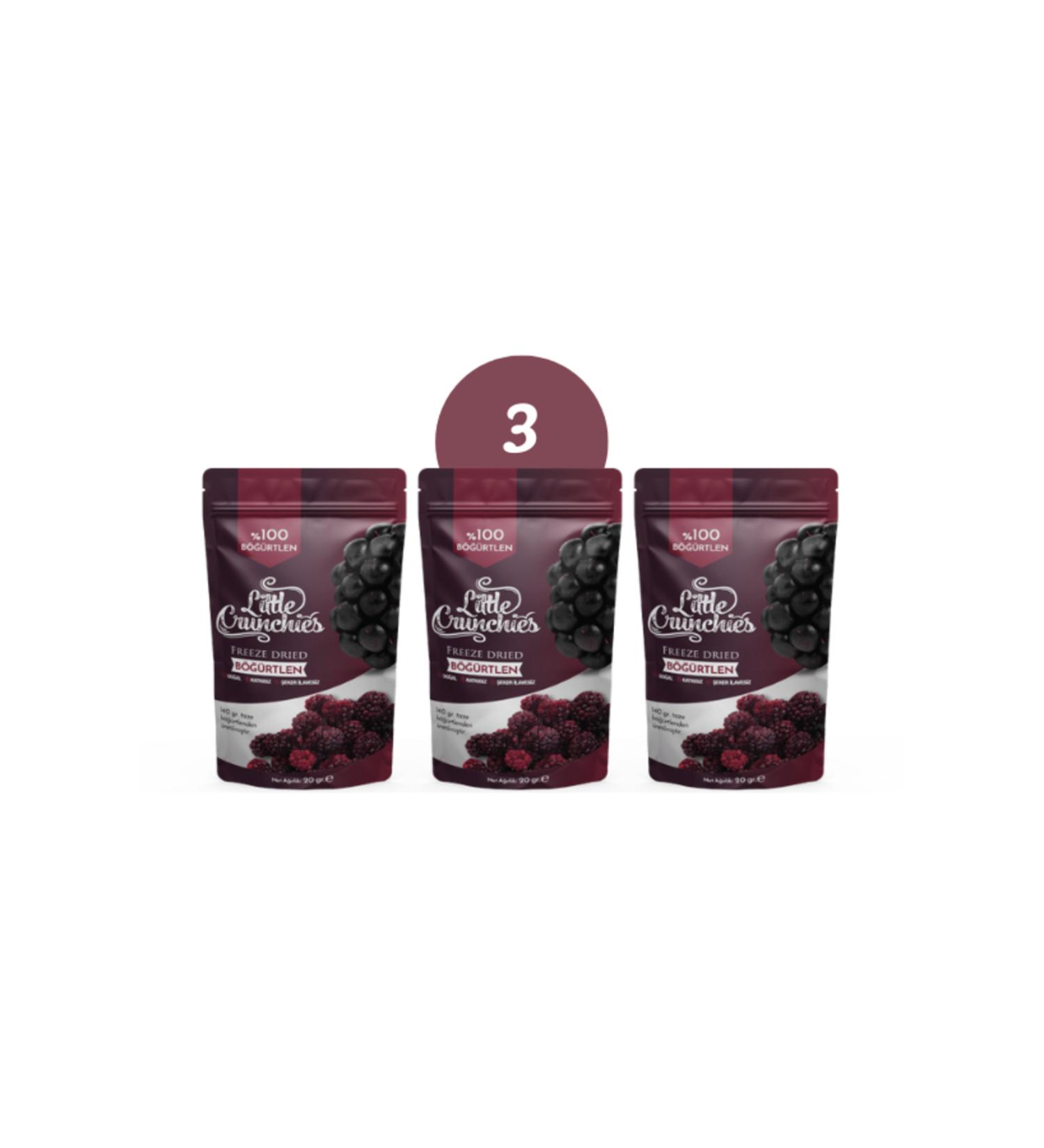 Little Crunchies Freeze Dried Blackberries 3 Pack - Freeze Dried - 3x20 Gr. - Buy Online on GoSupps.com