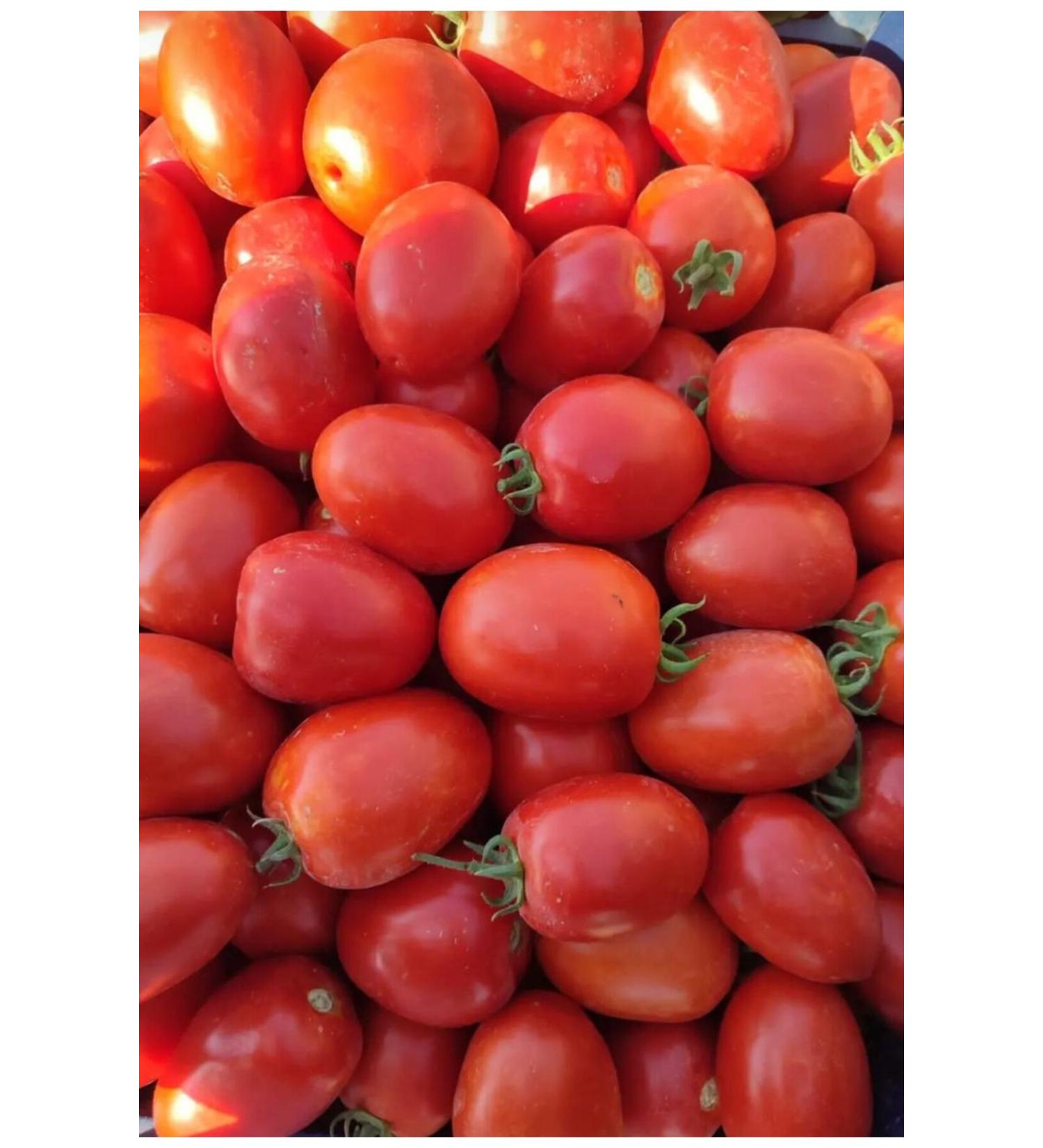 Turkan Natural Products Tomato Paste-2 pieces- 660 cc Jars