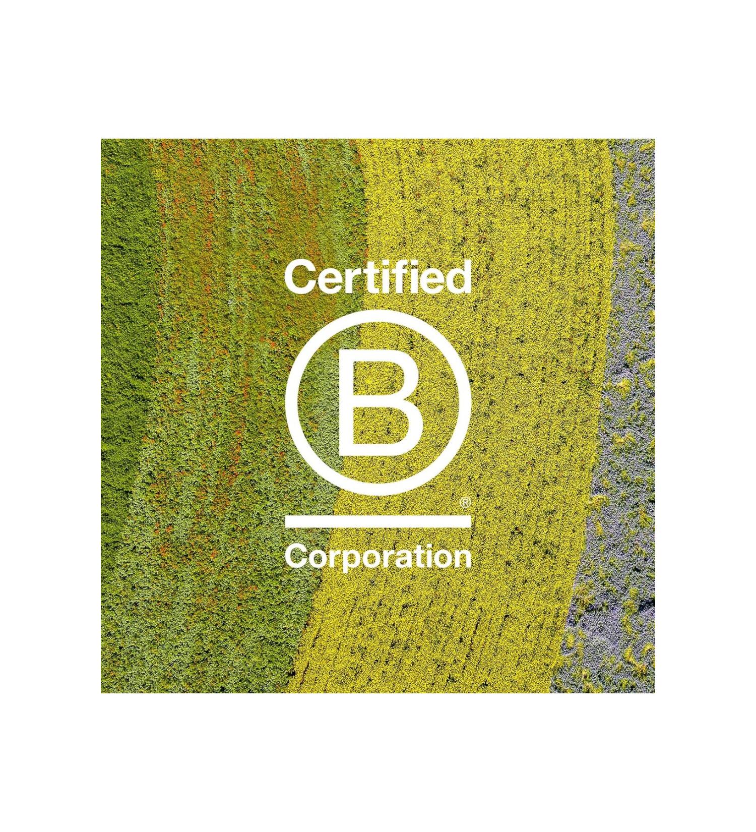 Davines Provit.B5 Special Shampoo for Colored Hair Rich in Polyphenols: MINU 250ml ECBEAUTYQ28