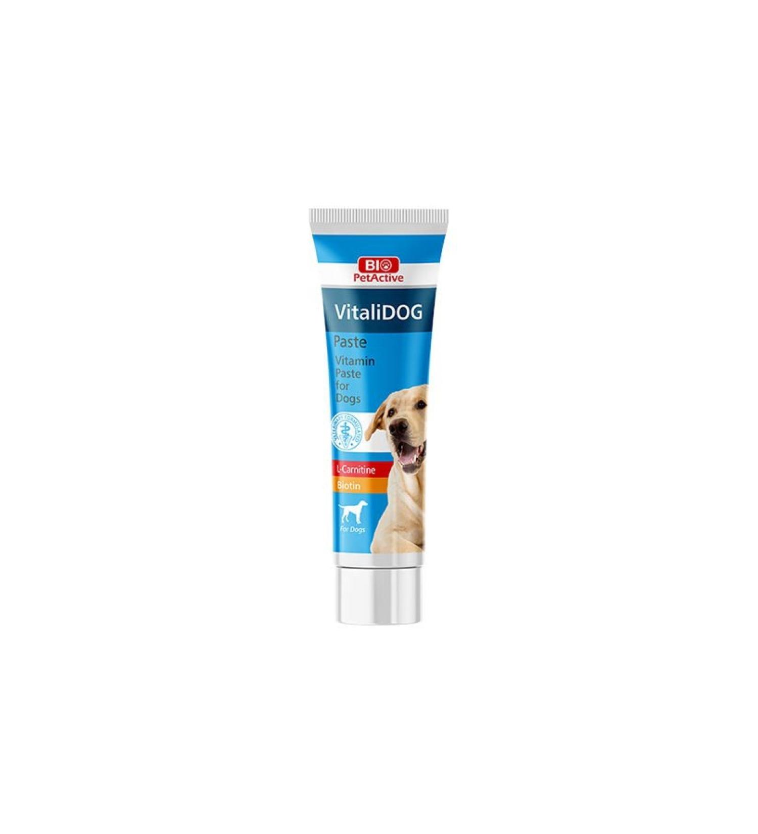 Pet Active Vitalidog Paste Vitamin Paste for Adult Dogs 100 ml