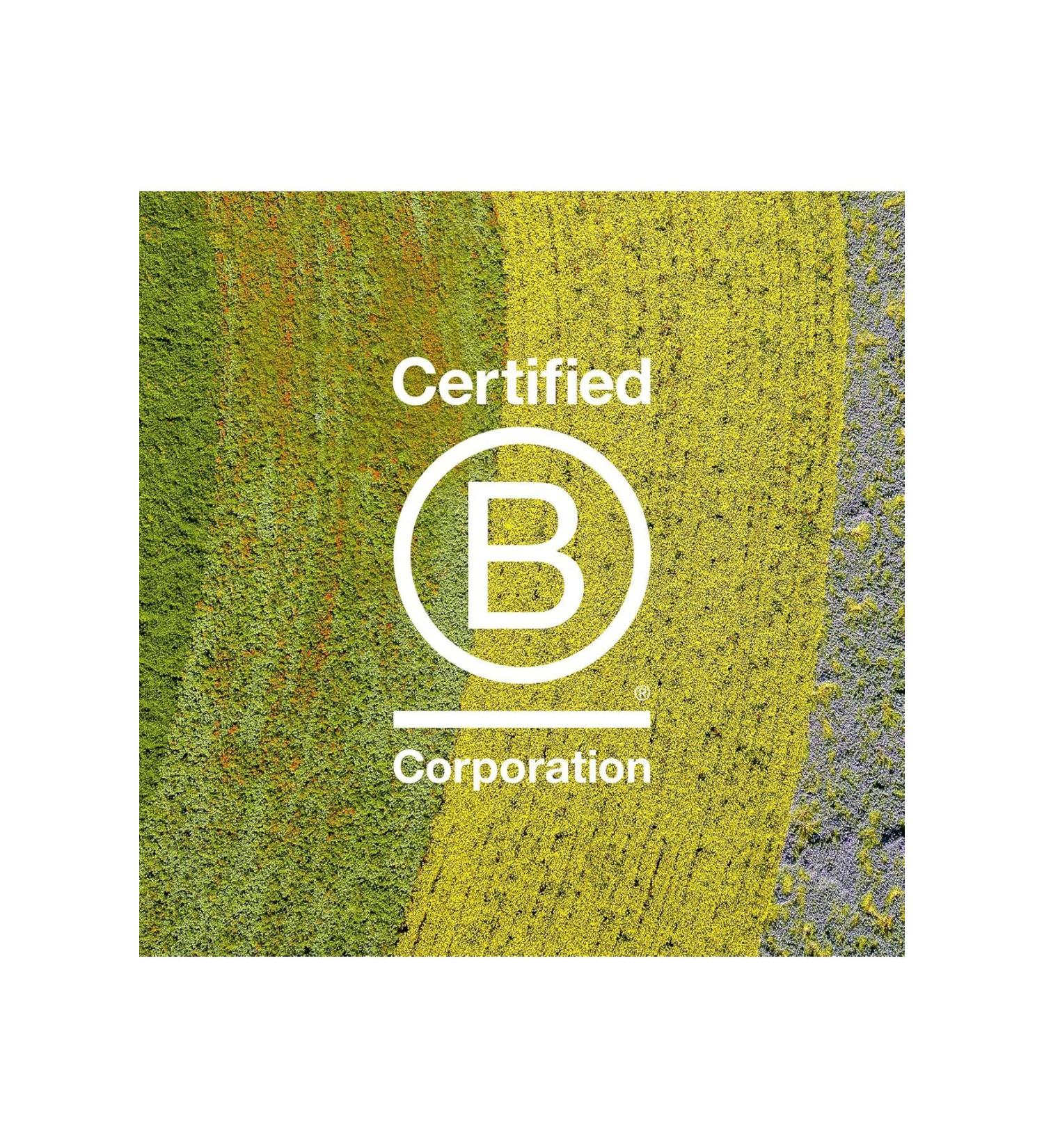 Davines Anti-Curly Olive Extract Shine Shampoo: LOVE/smoothing EvaYeni461