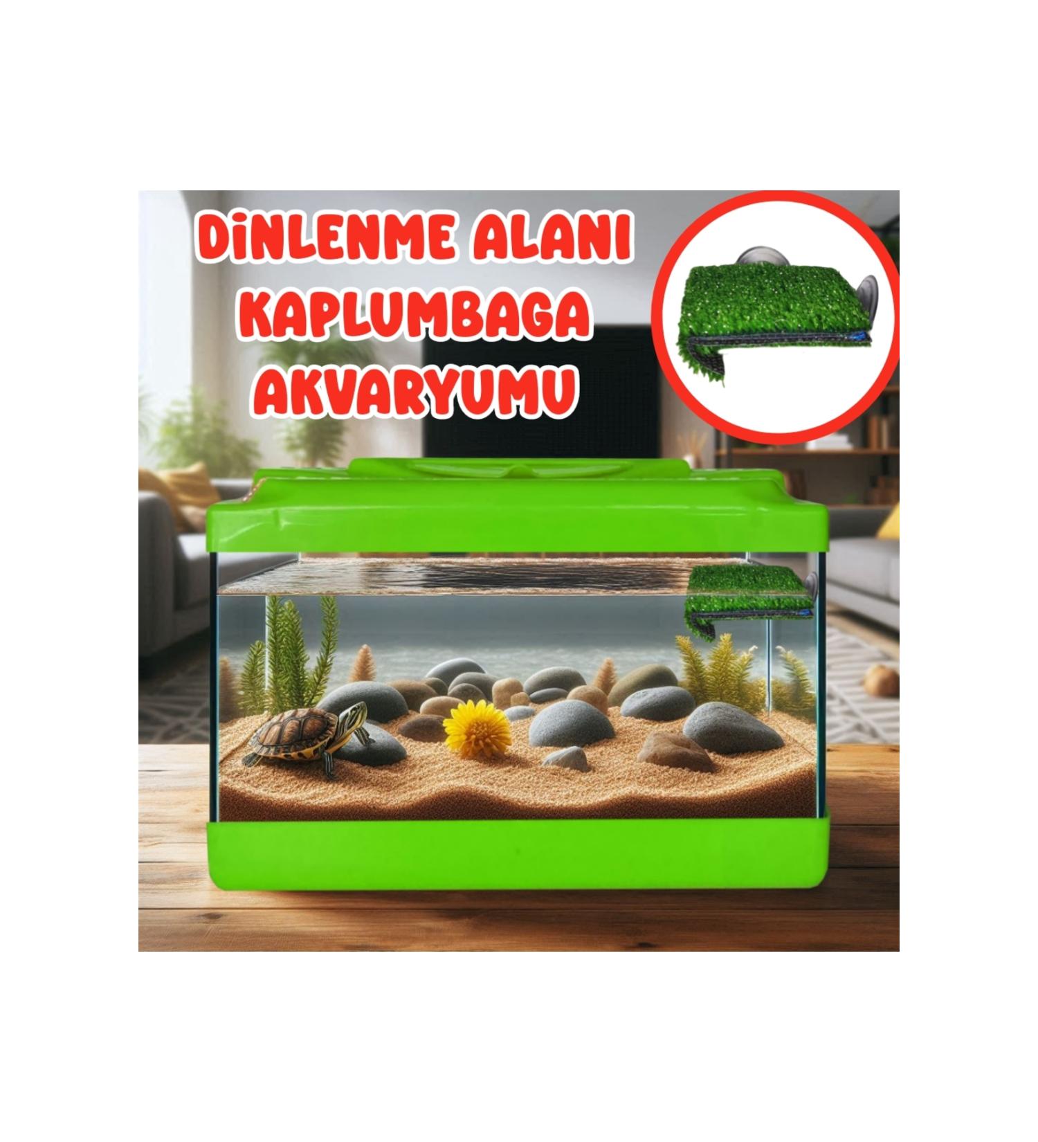 Aquarium Large Turtle Aquarium with Resting Area Sent in Mixed Colors.