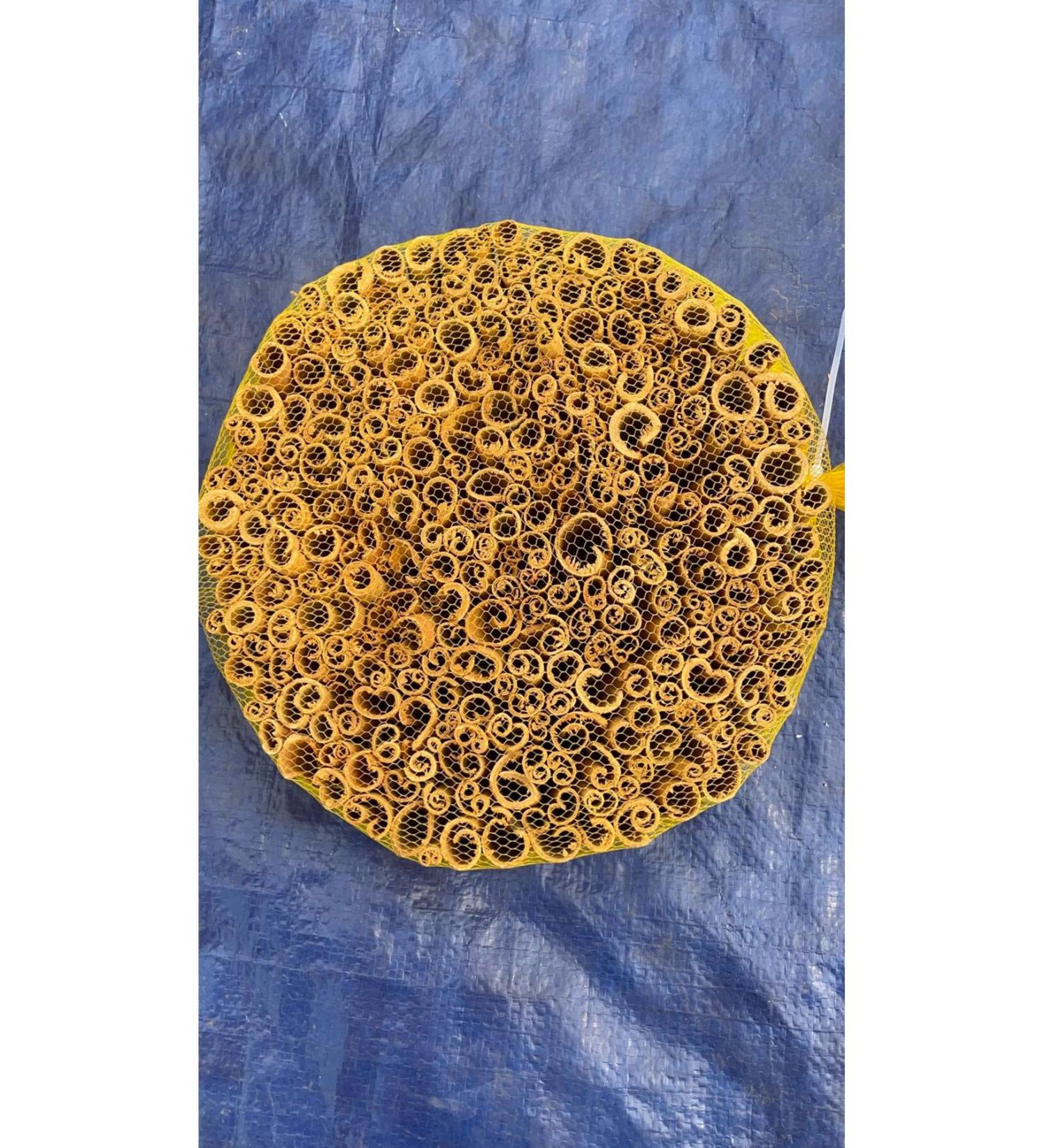 Y CEL Vietnamese Cinnamon 1 Kg Advantage Package 1st Quality