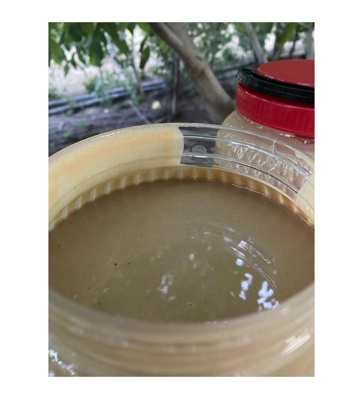 G LTEK N HONEY UNROASTED TAHINI 2 kg - Buy Online on GoSupps.com