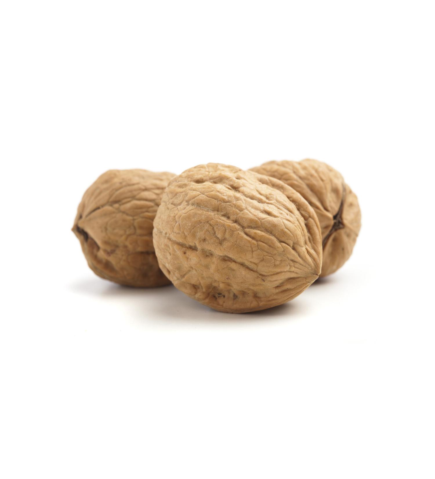 Minervakoop Oily Burdur Walnut 1 Kg Extremely Delicious