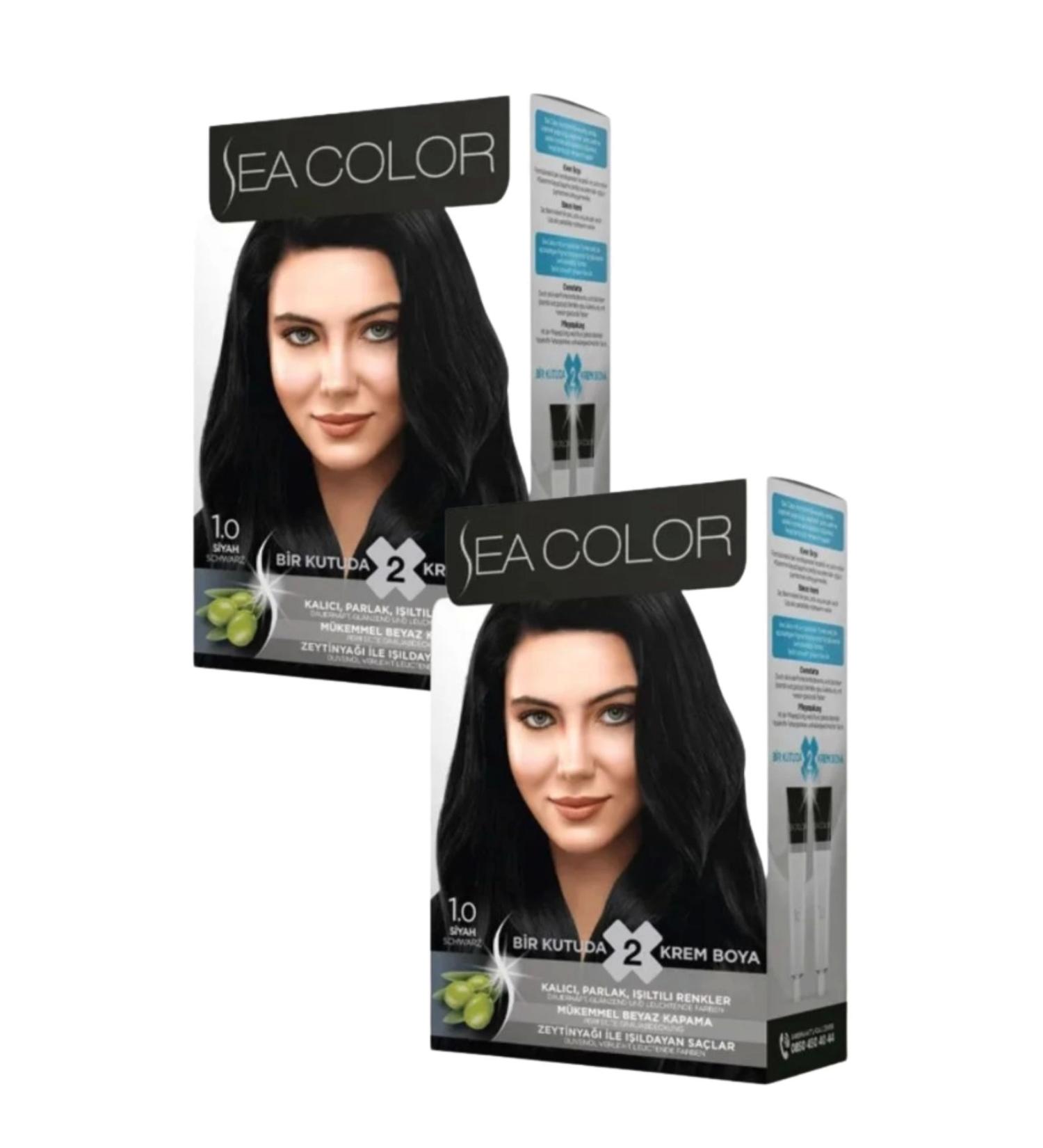 Sea Color 1/0 Black Hair Dye 100 ml X 2 Boxes