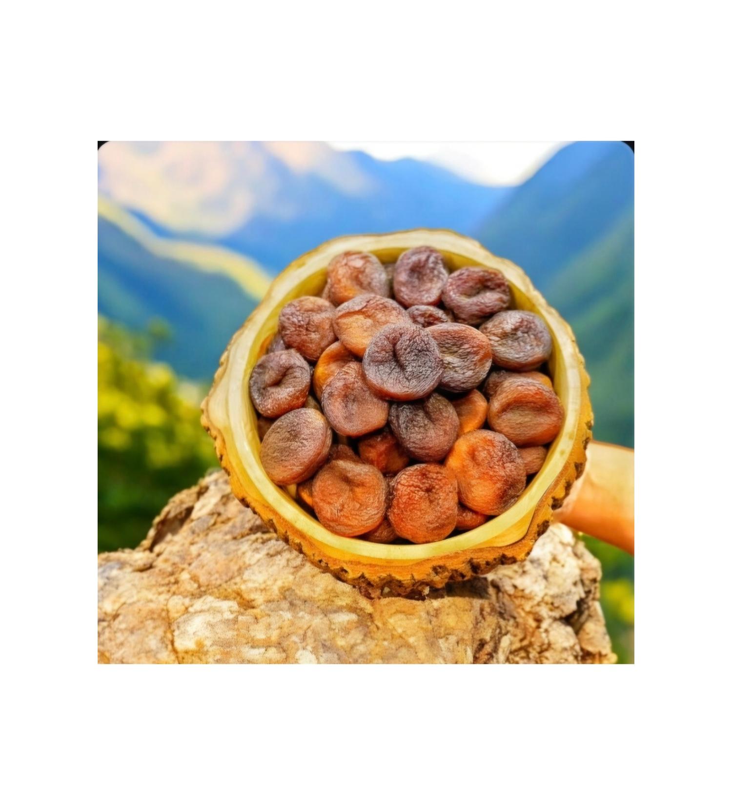 Apricot Land Sun Dried 500 grams