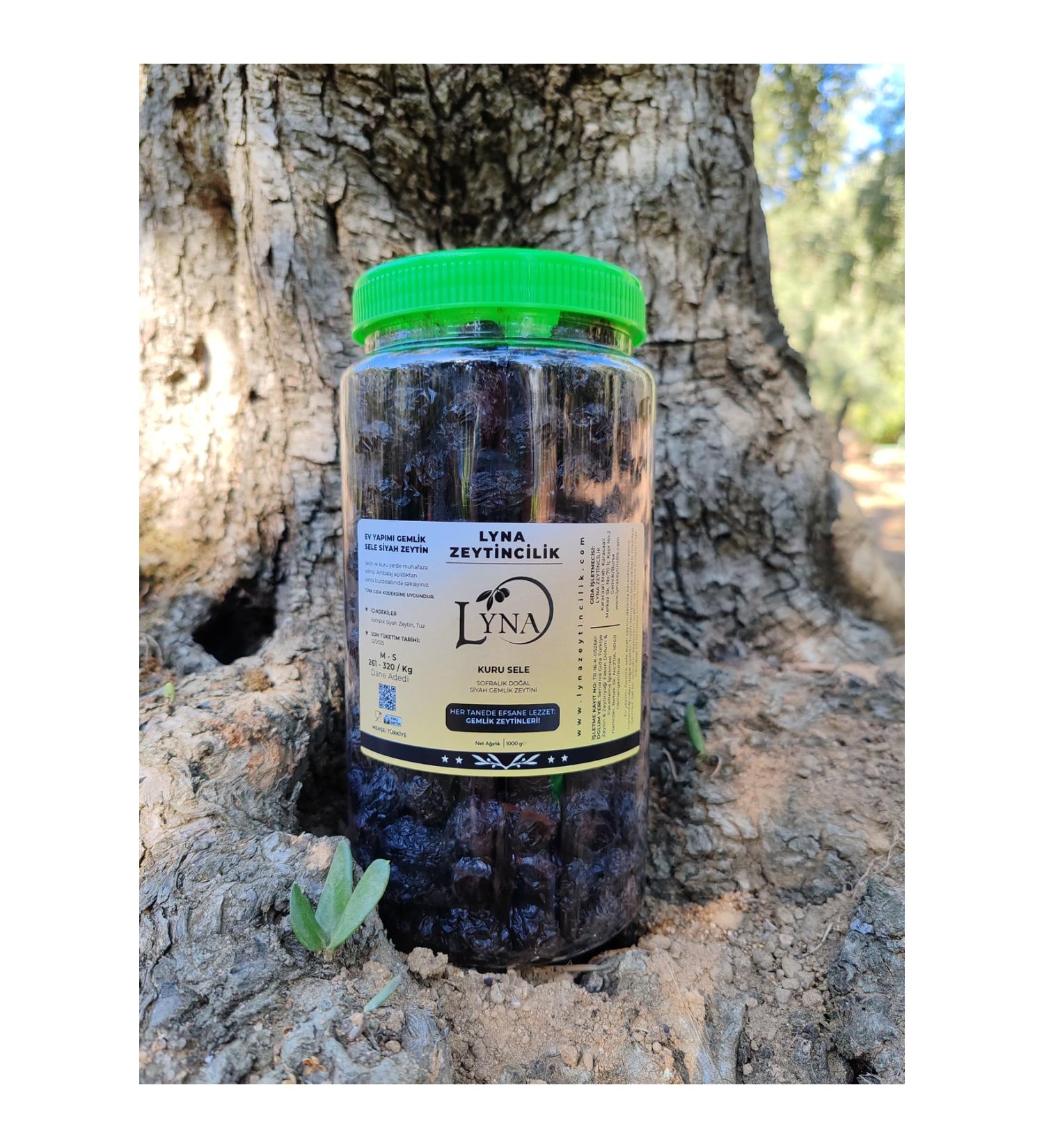 GEML K Dry Sele Gemlik Black Olives (MS Size 261-320 Caliber) - 1 Kg