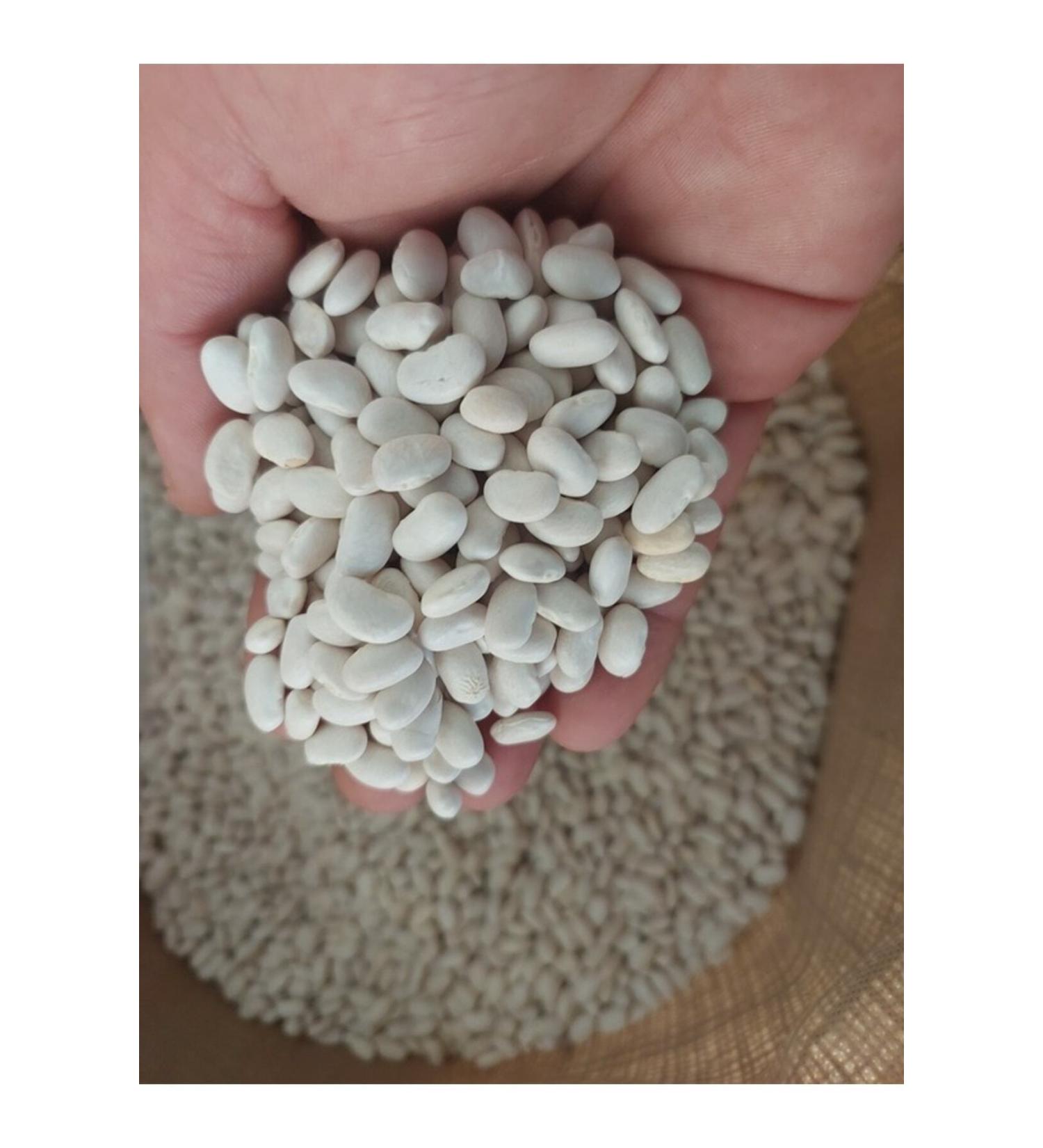 irfan legumes dry beans 5 kg (village produce)