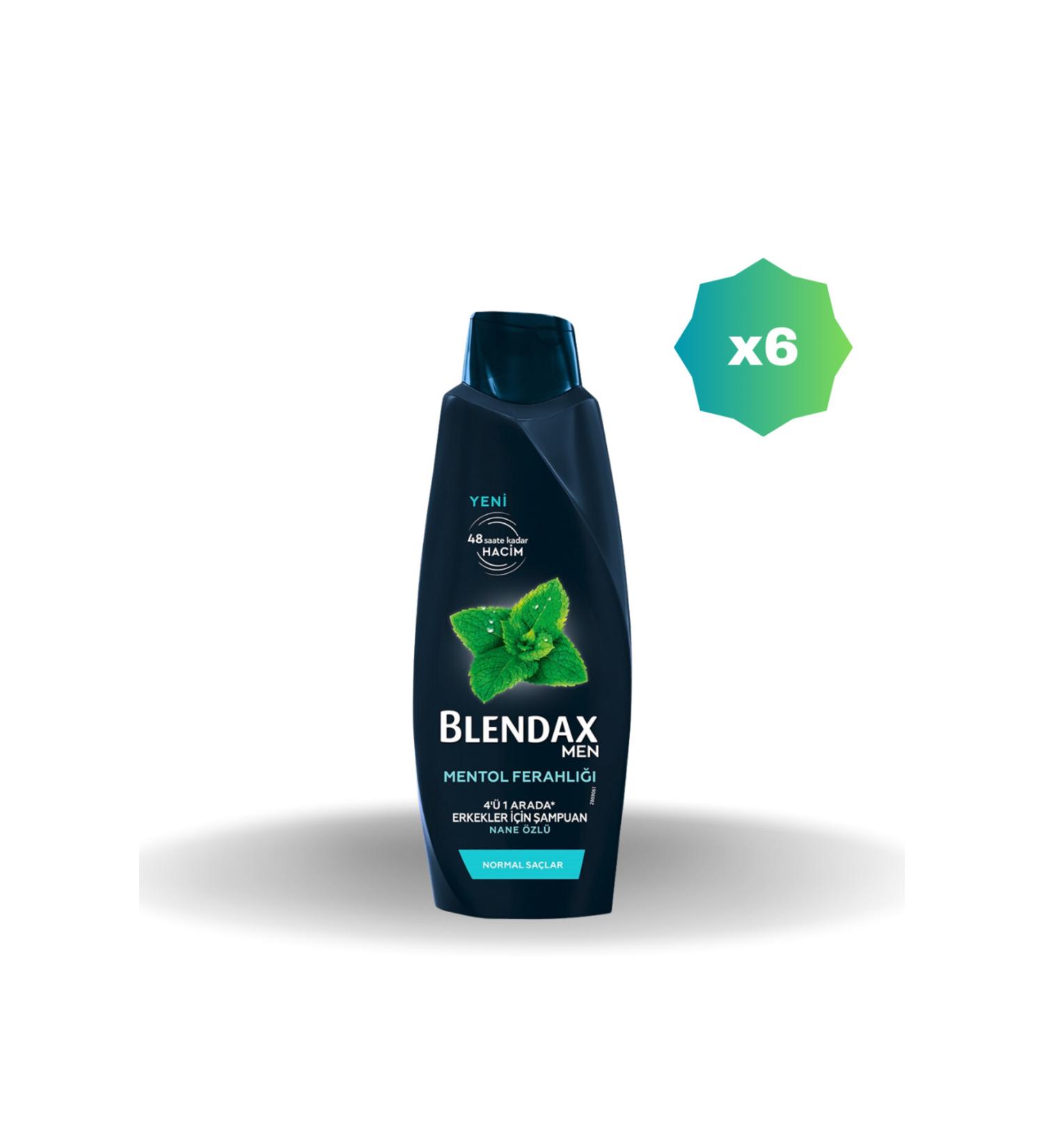 Blendax MEN 4IN1 MENTHOL FRESHNESS SHAMPOO 500 ML X 6 PIECES