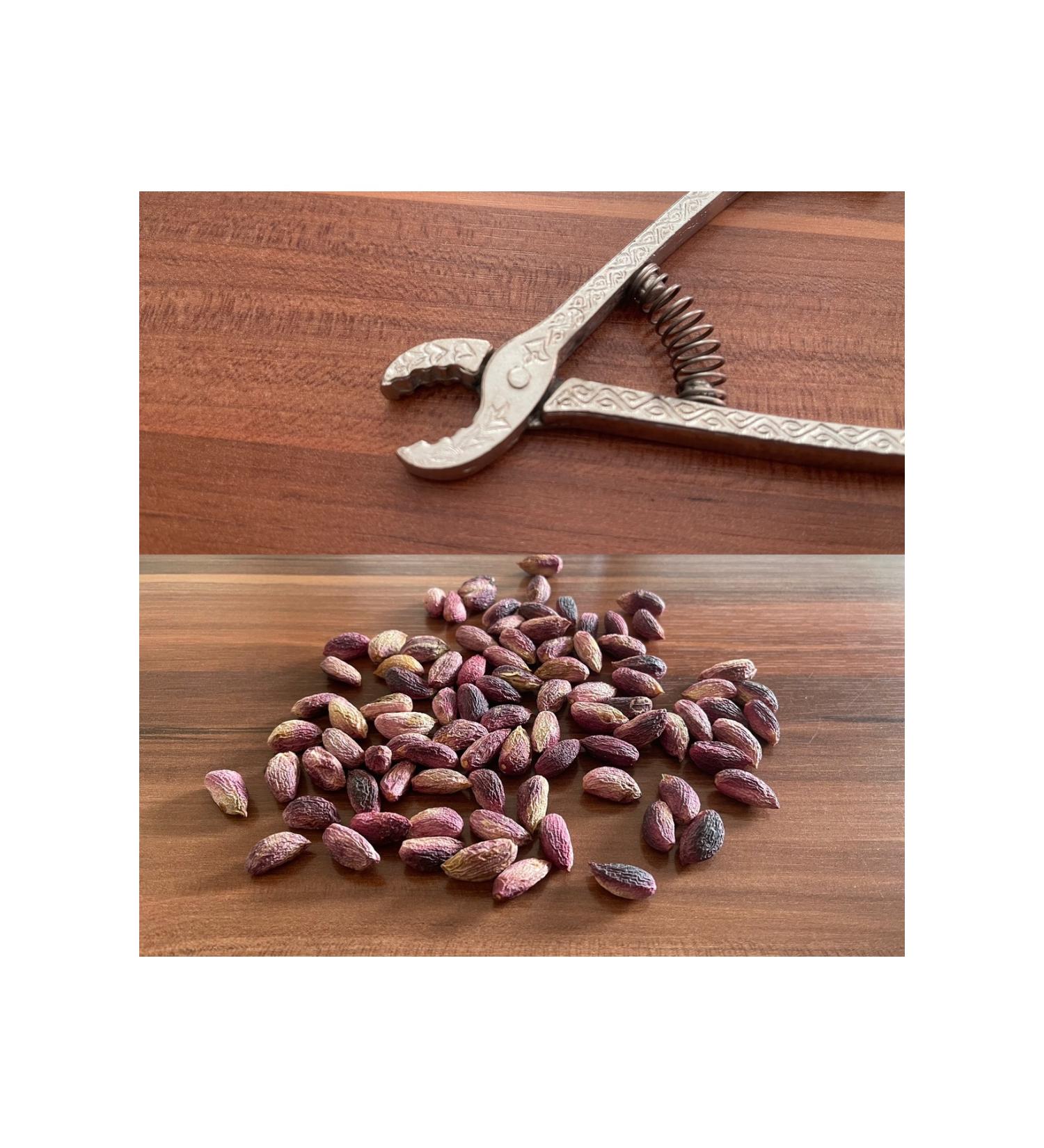 ye iliseviyorum 1. Quality 100 gr Dry Red Raw Pistachio New September 2024 & 1 Piece Peanut Cracker From the Manufacturer - Buy Online on GoSupps.com