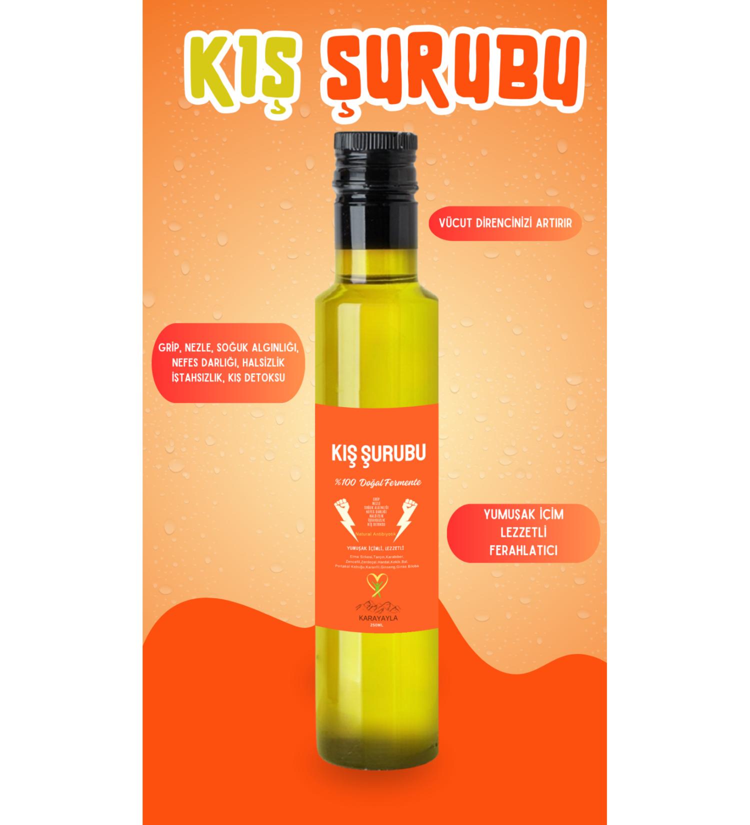 Karayayla Resistance Booster. Natural Antibiotic Winter Syrup Against Colds 250 ml