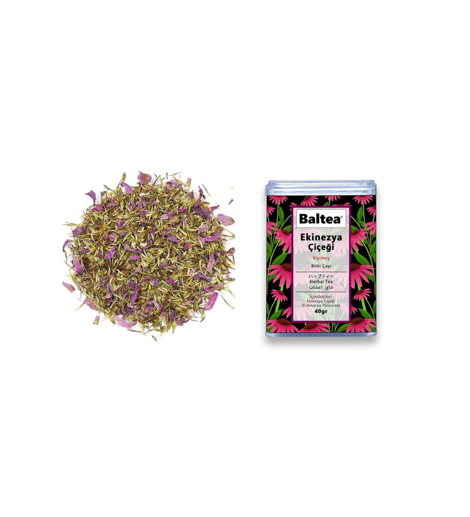 Baltea Echinacea Flower