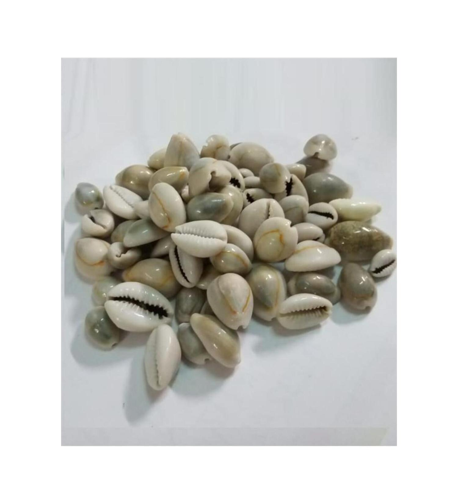 Aktar Depot Tween Bead-Snake Head-Camel Bead