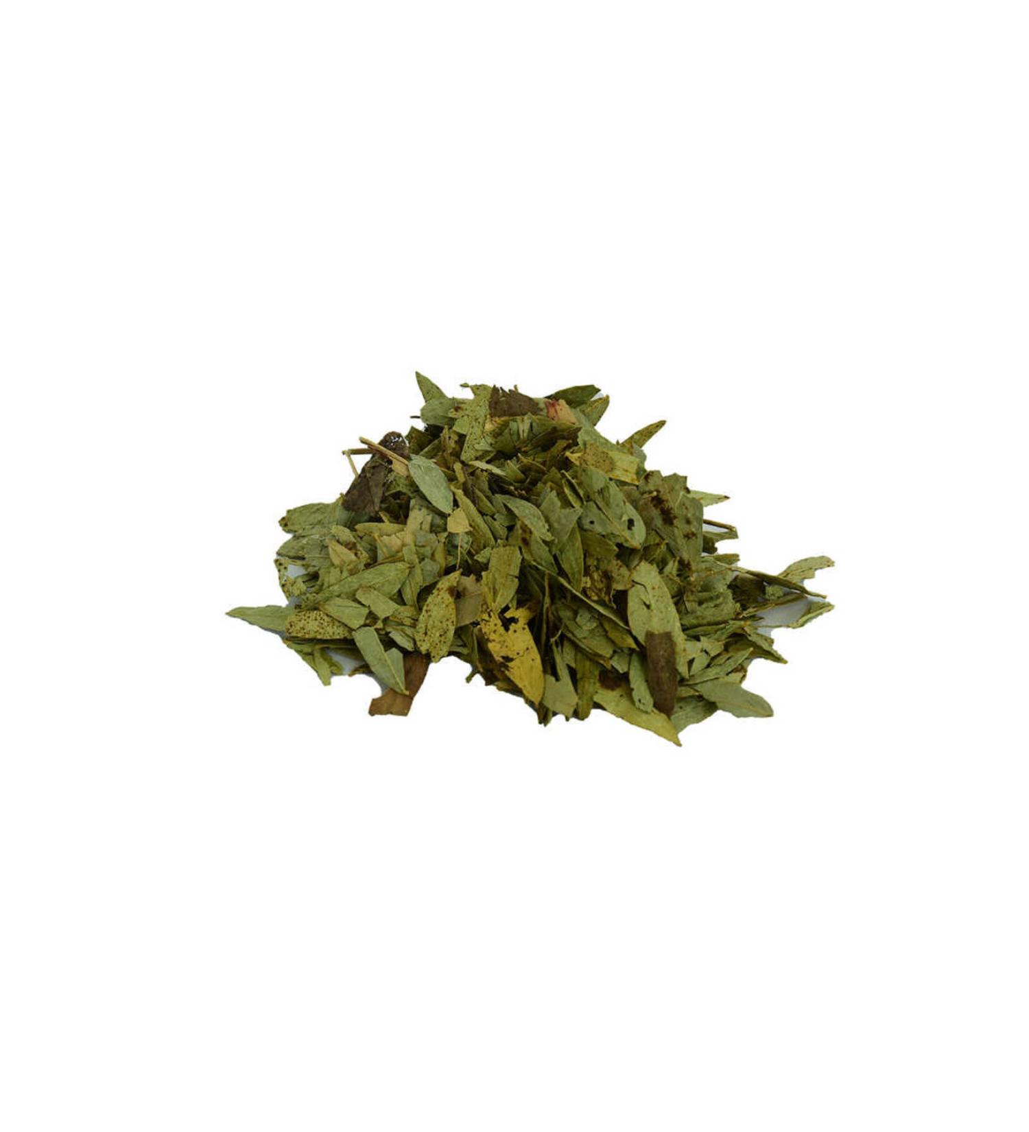 colezium Senna Leaf Natural 100 Gr Package