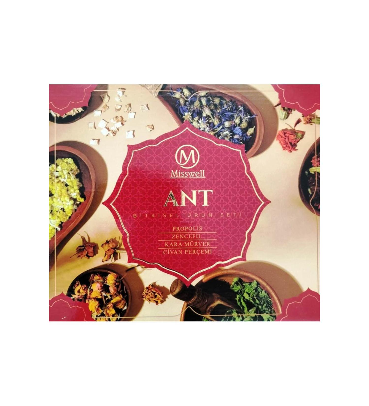 MISSWELL ANT SET - Buy Online on GoSupps.com